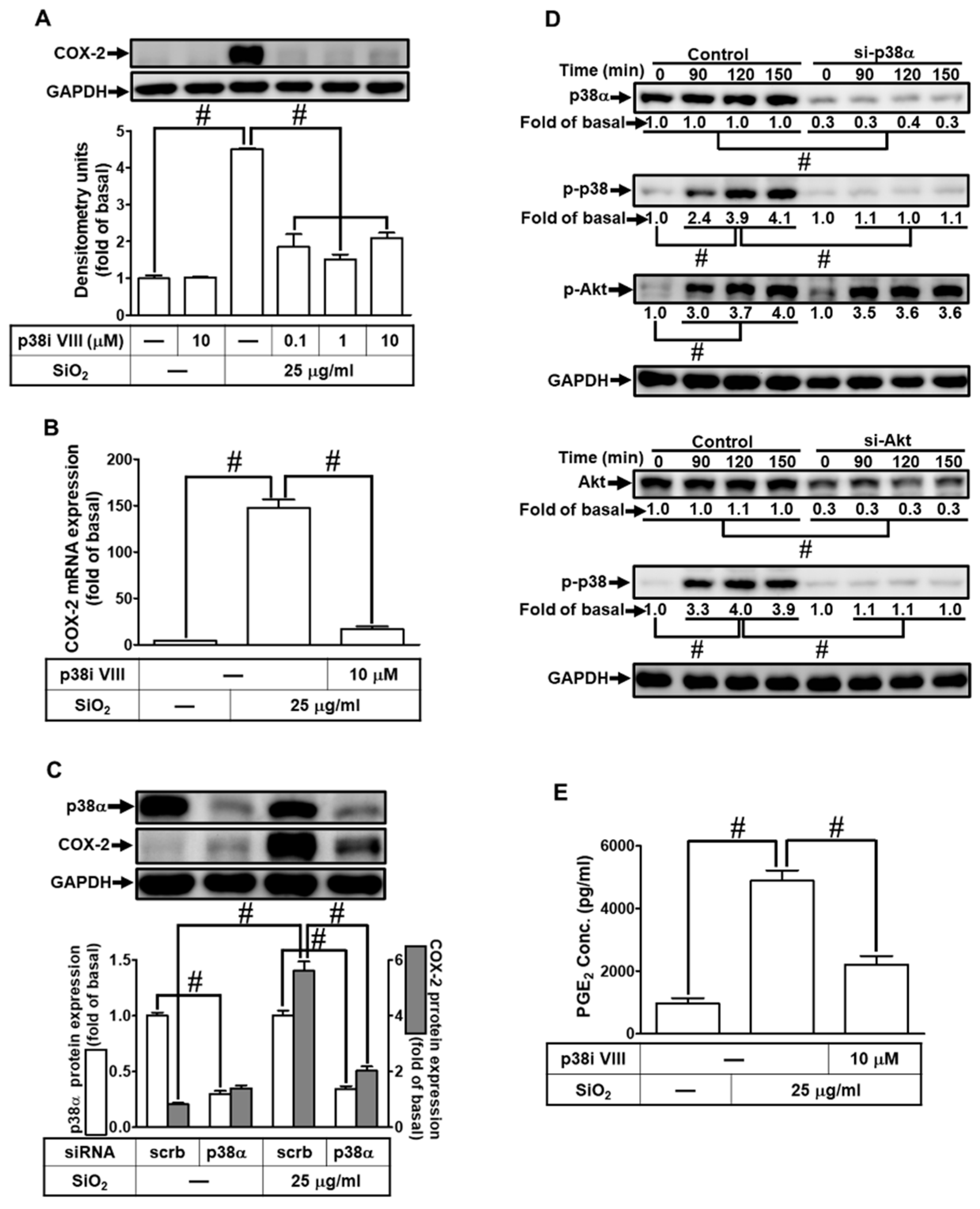 Preprints 82745 i007