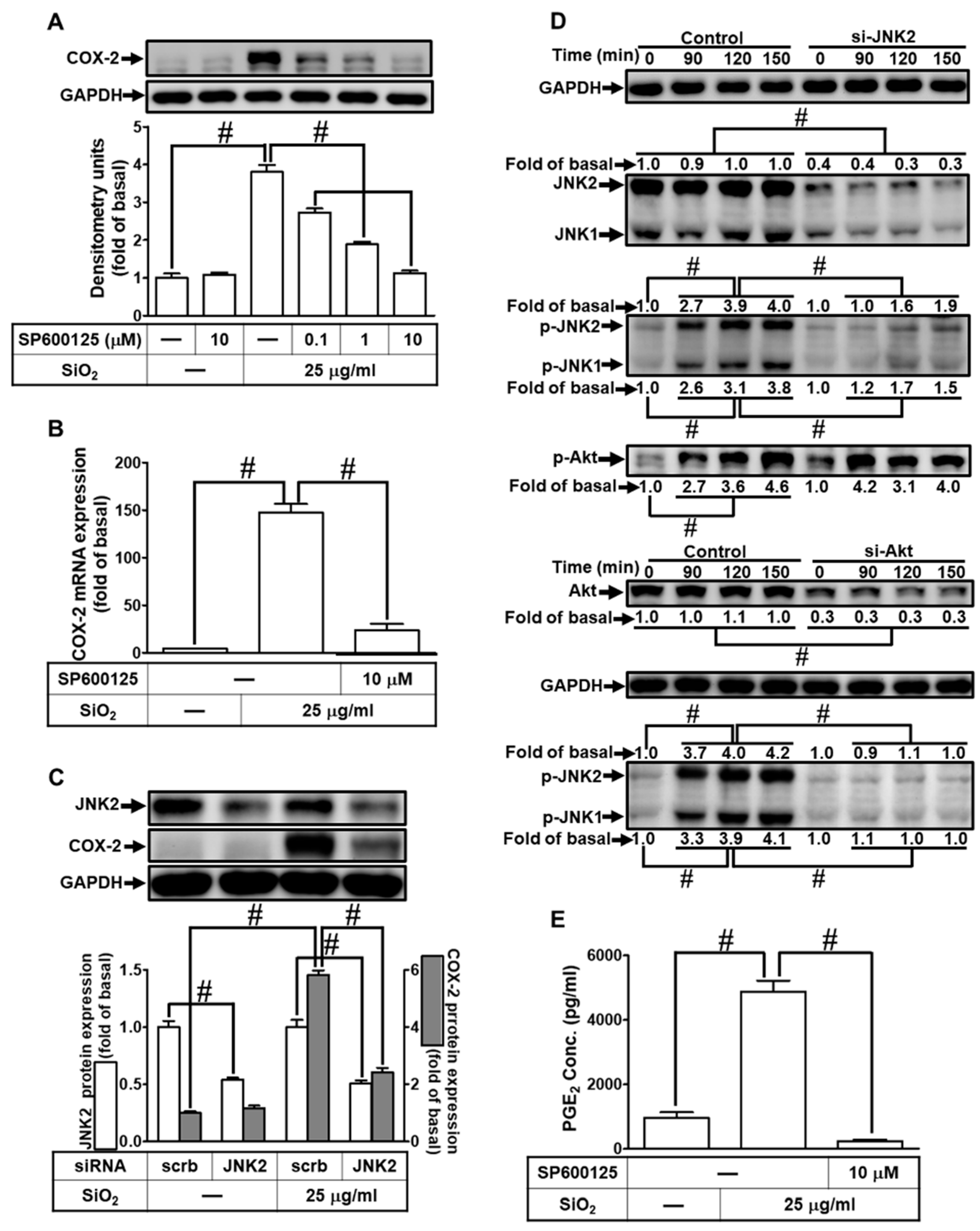 Preprints 82745 i008