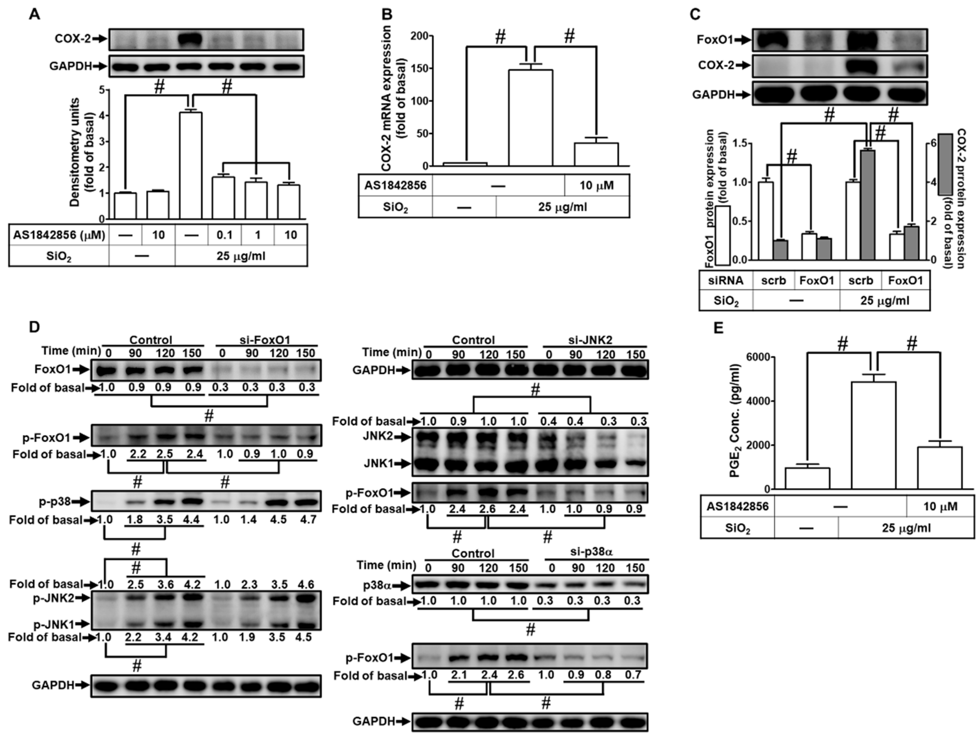 Preprints 82745 i009