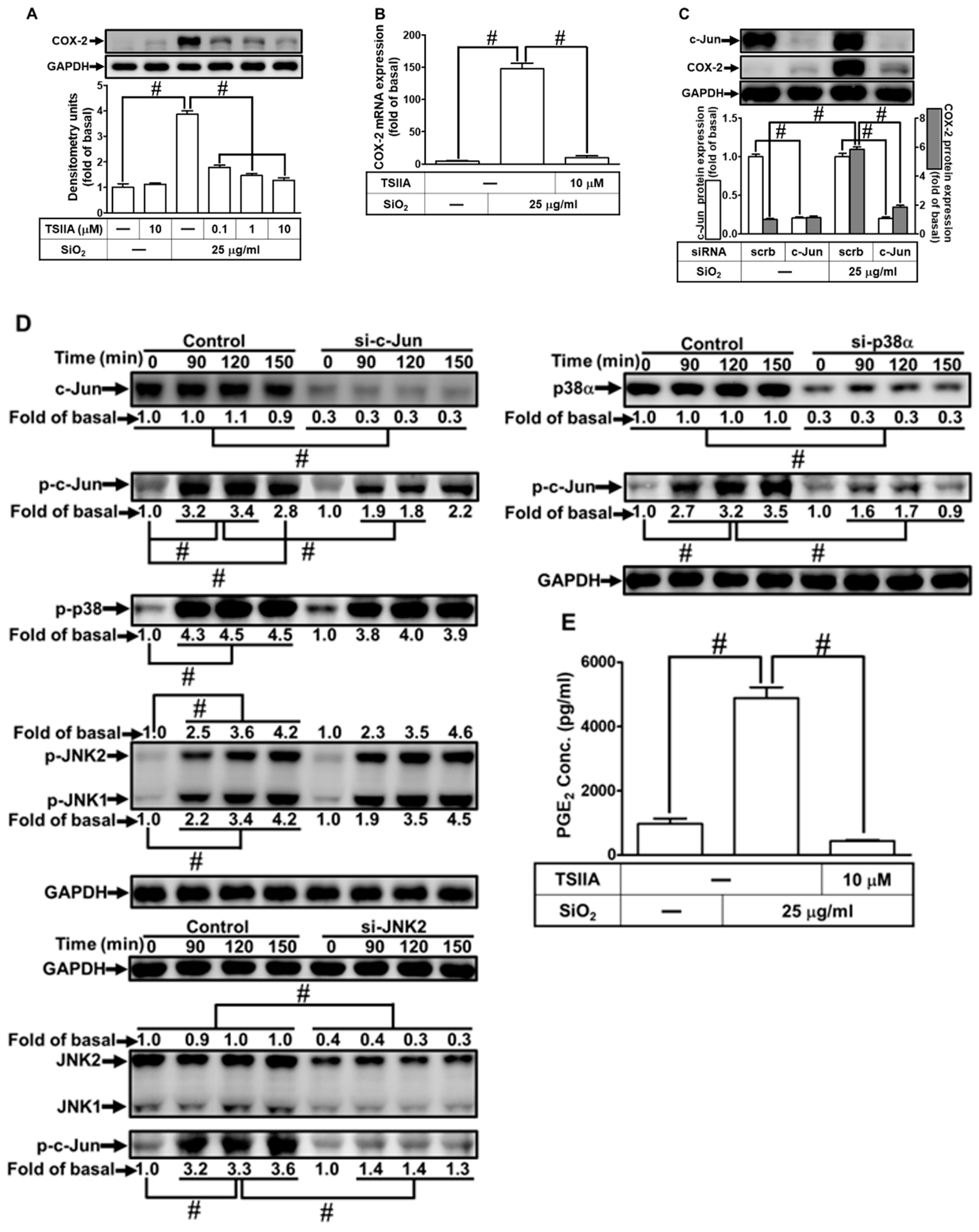 Preprints 82745 i010