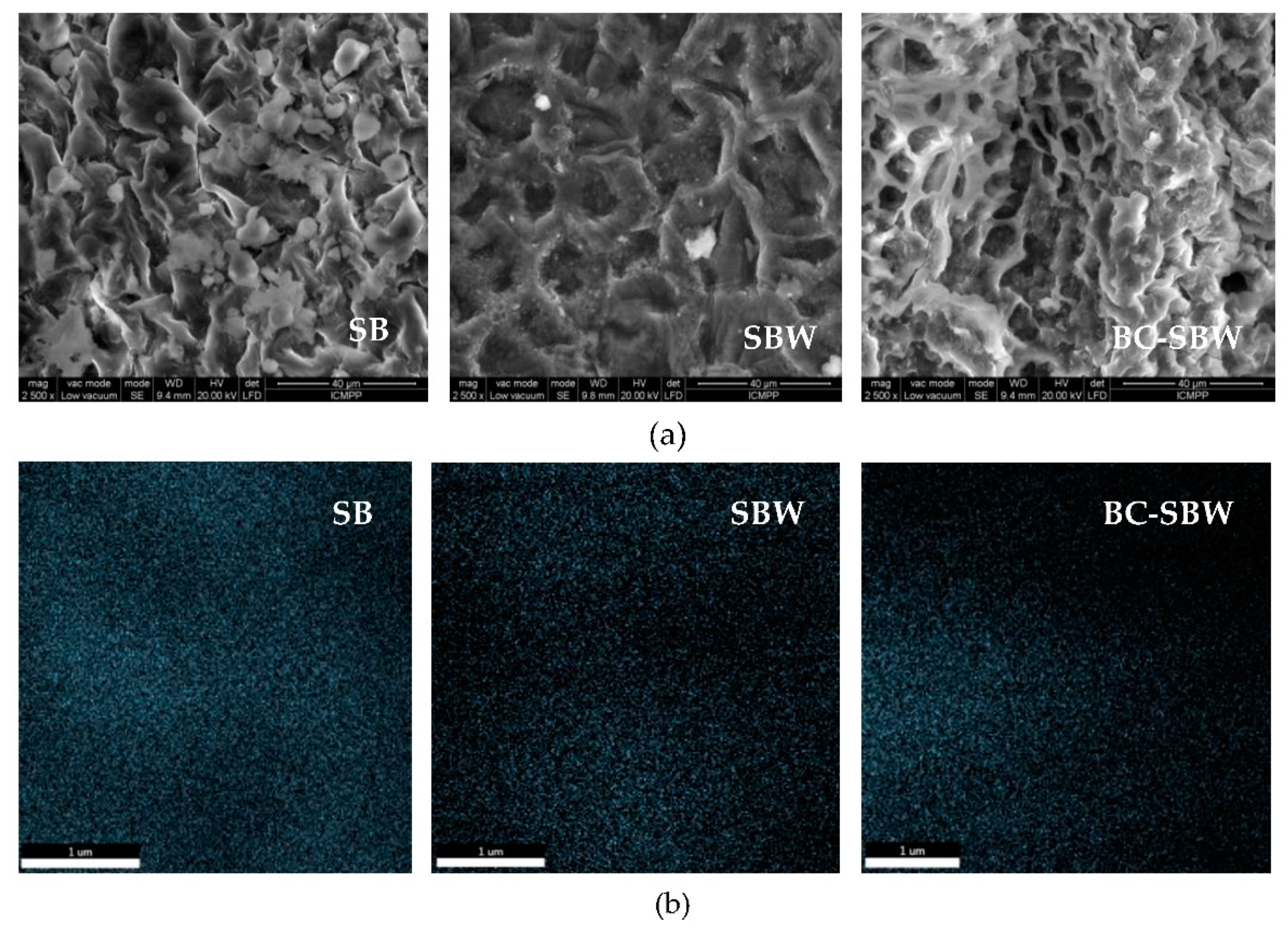 Preprints 122168 g002