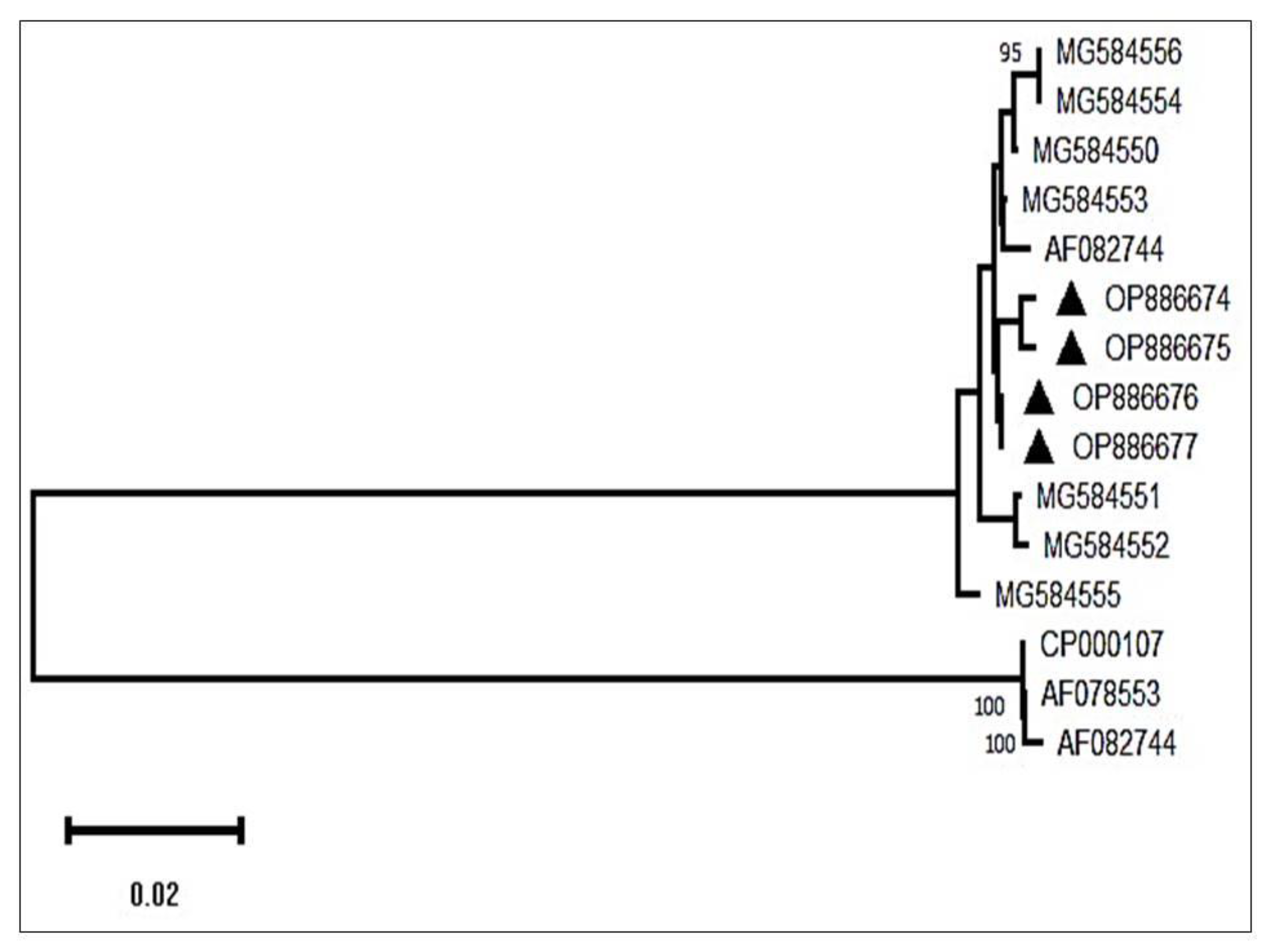 Preprints 115779 g007