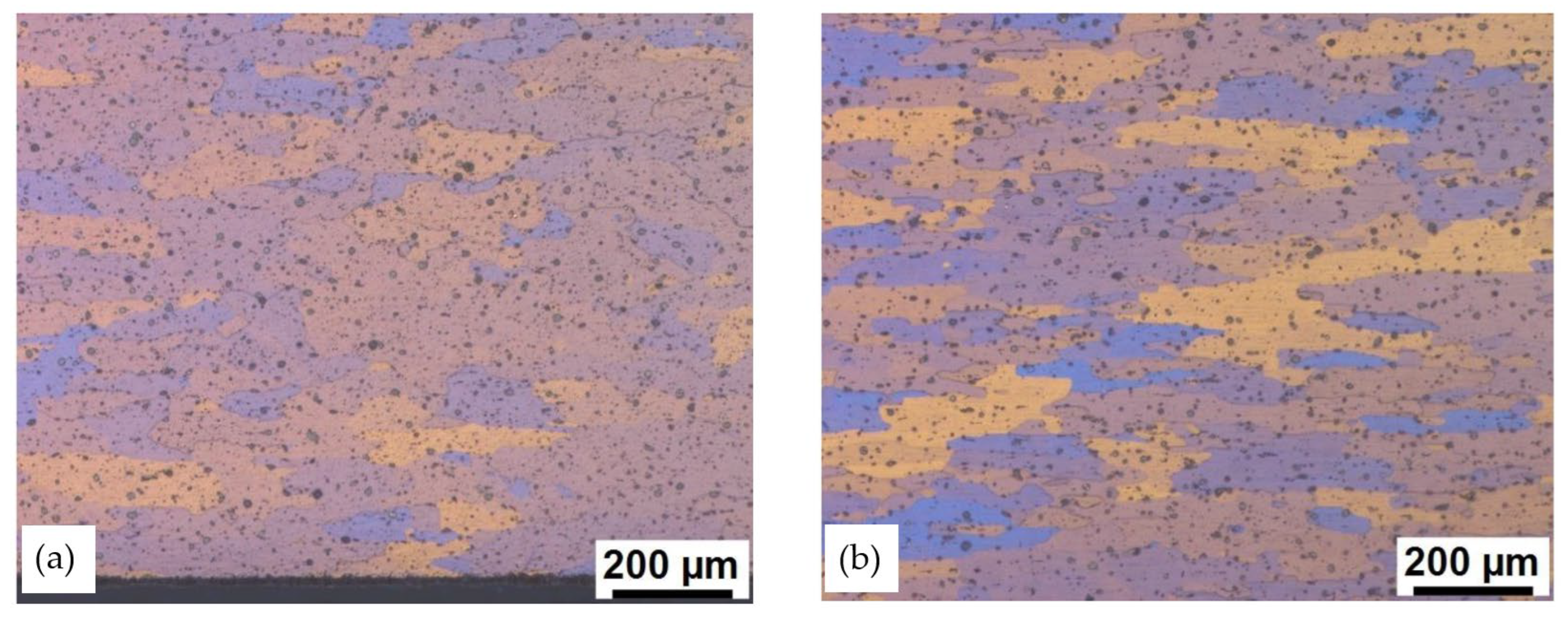 Preprints 109905 g002