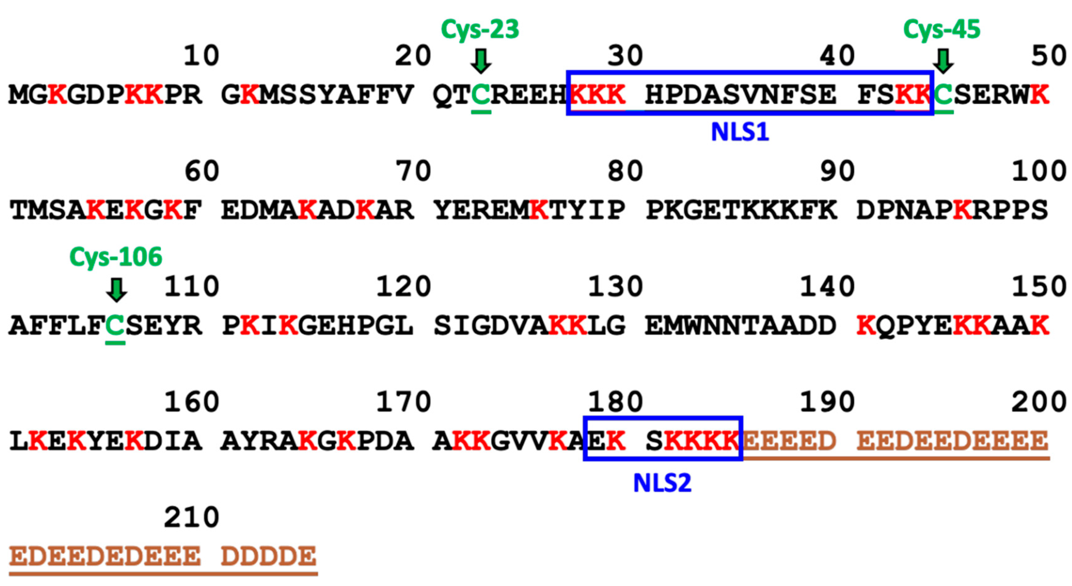 Preprints 81543 g001