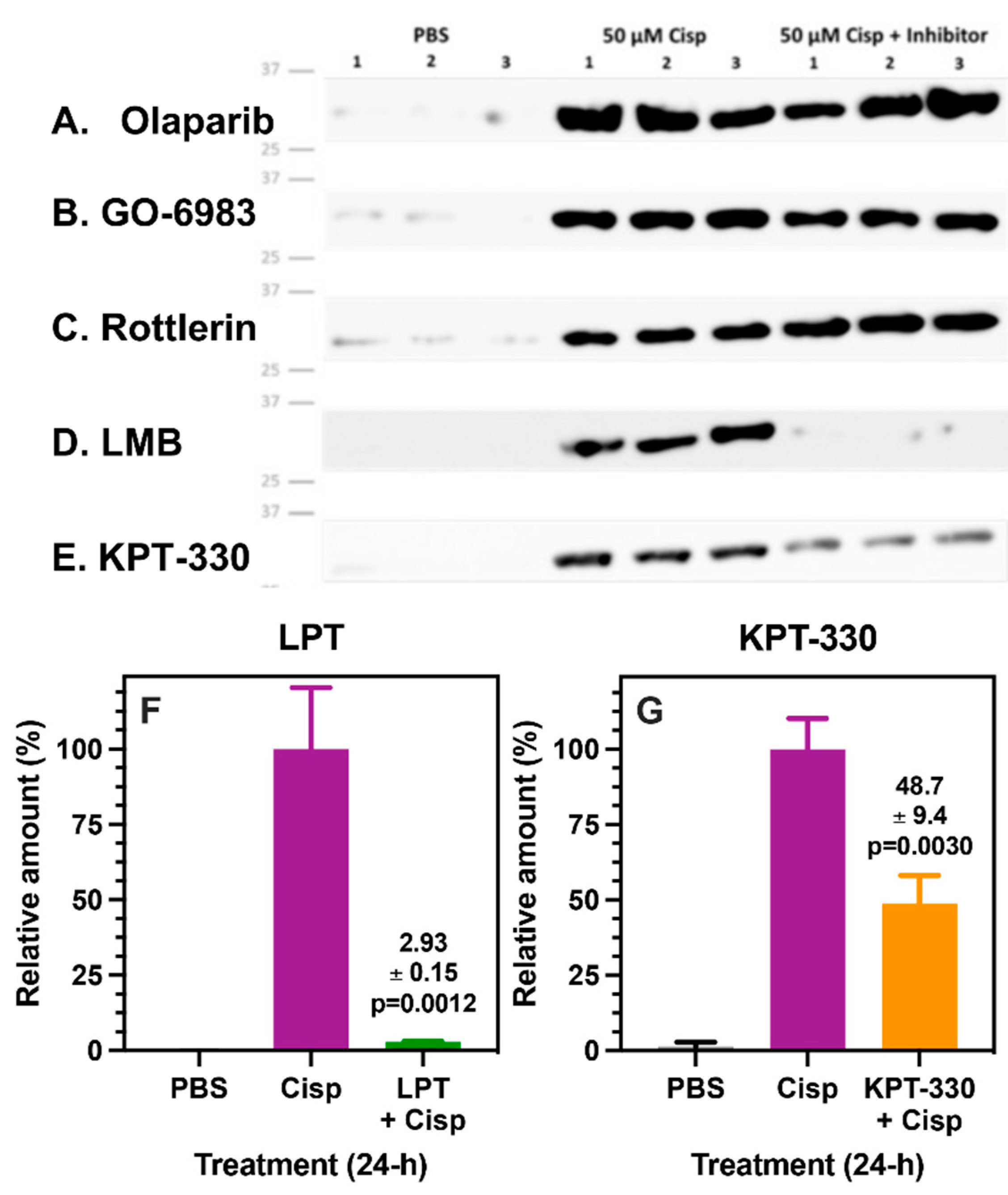 Preprints 81543 g006