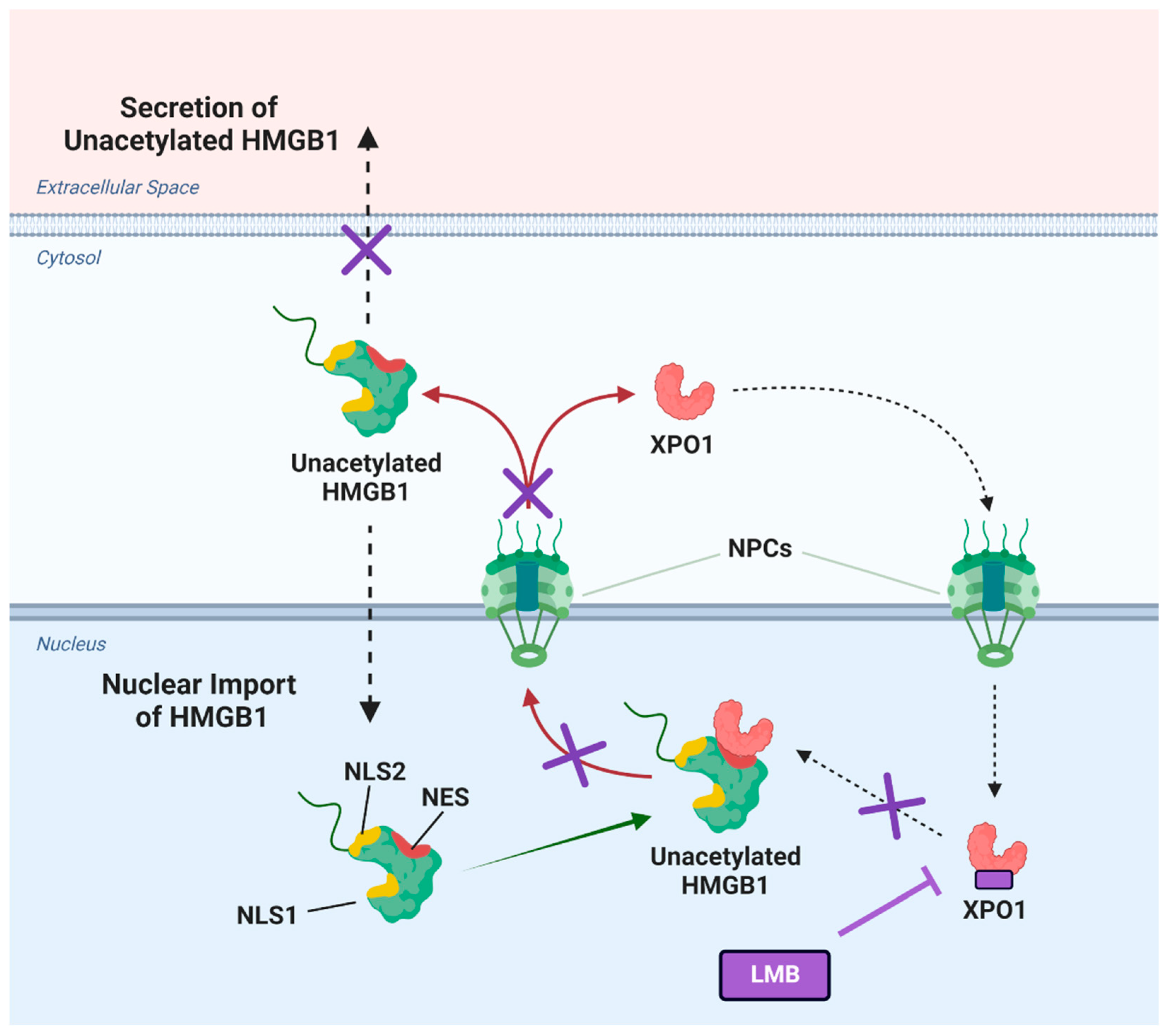 Preprints 81543 g009