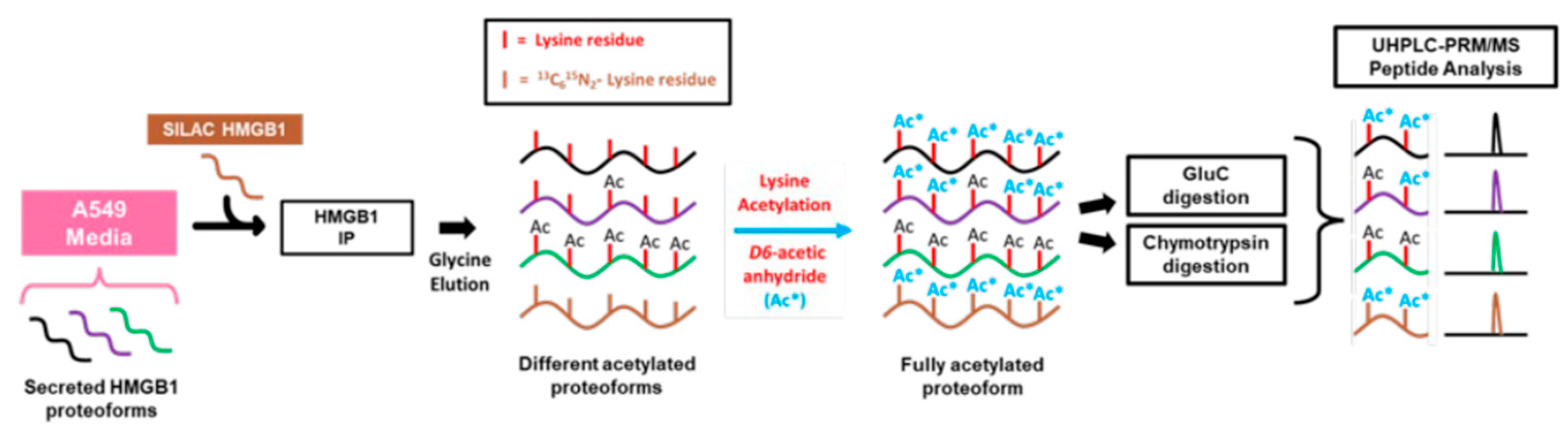 Preprints 81543 sch001