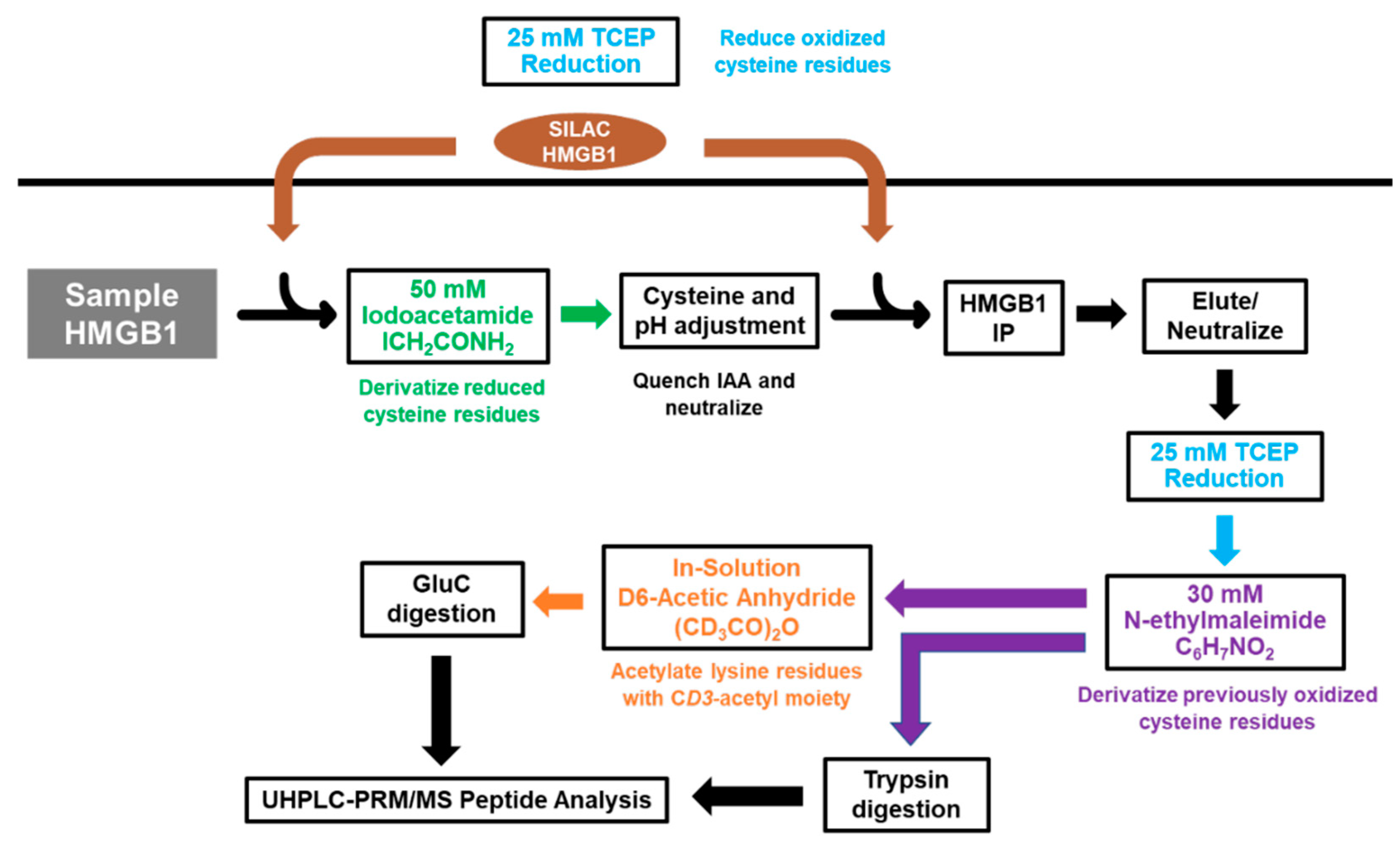 Preprints 81543 sch002