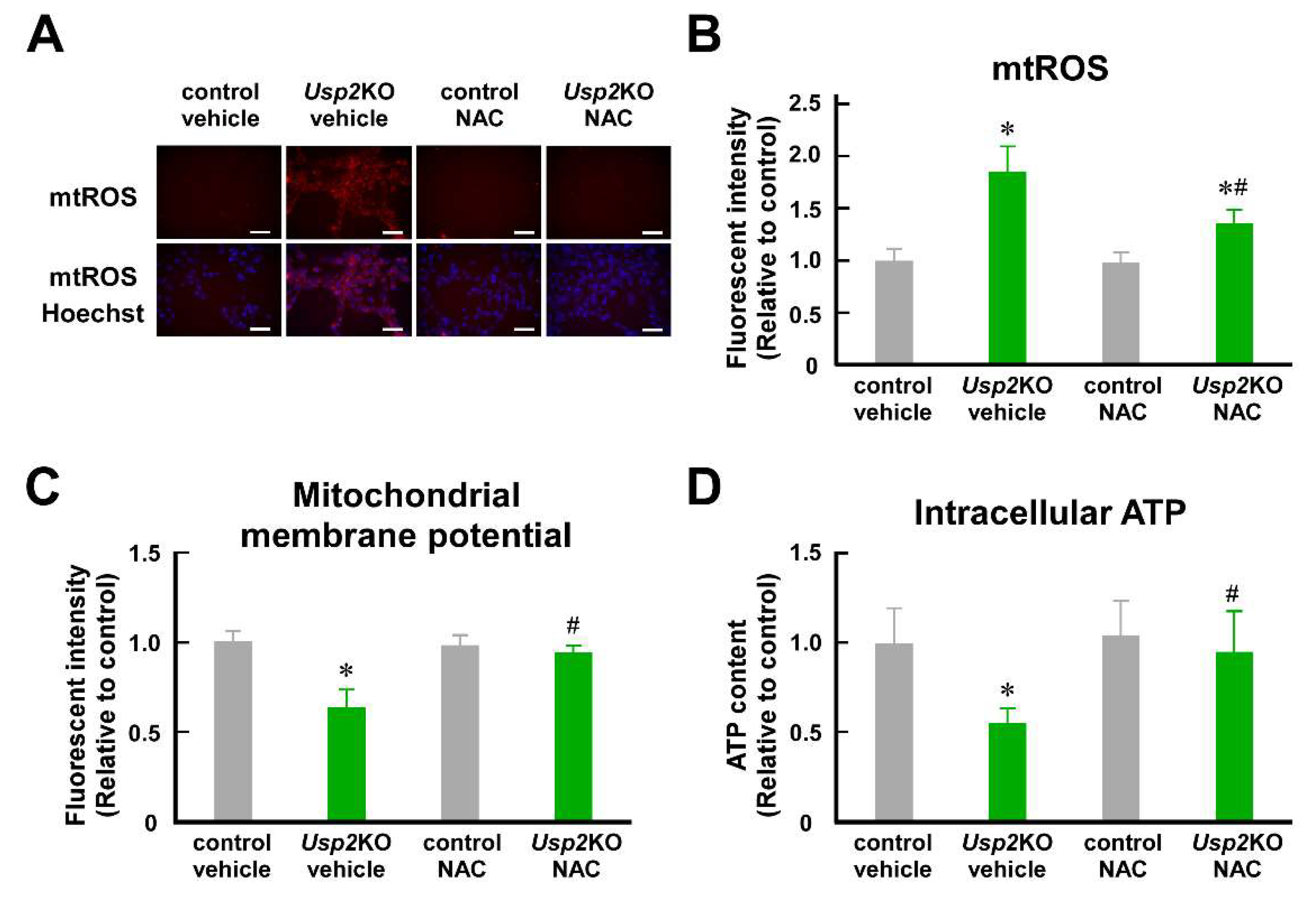 Preprints 113769 g001