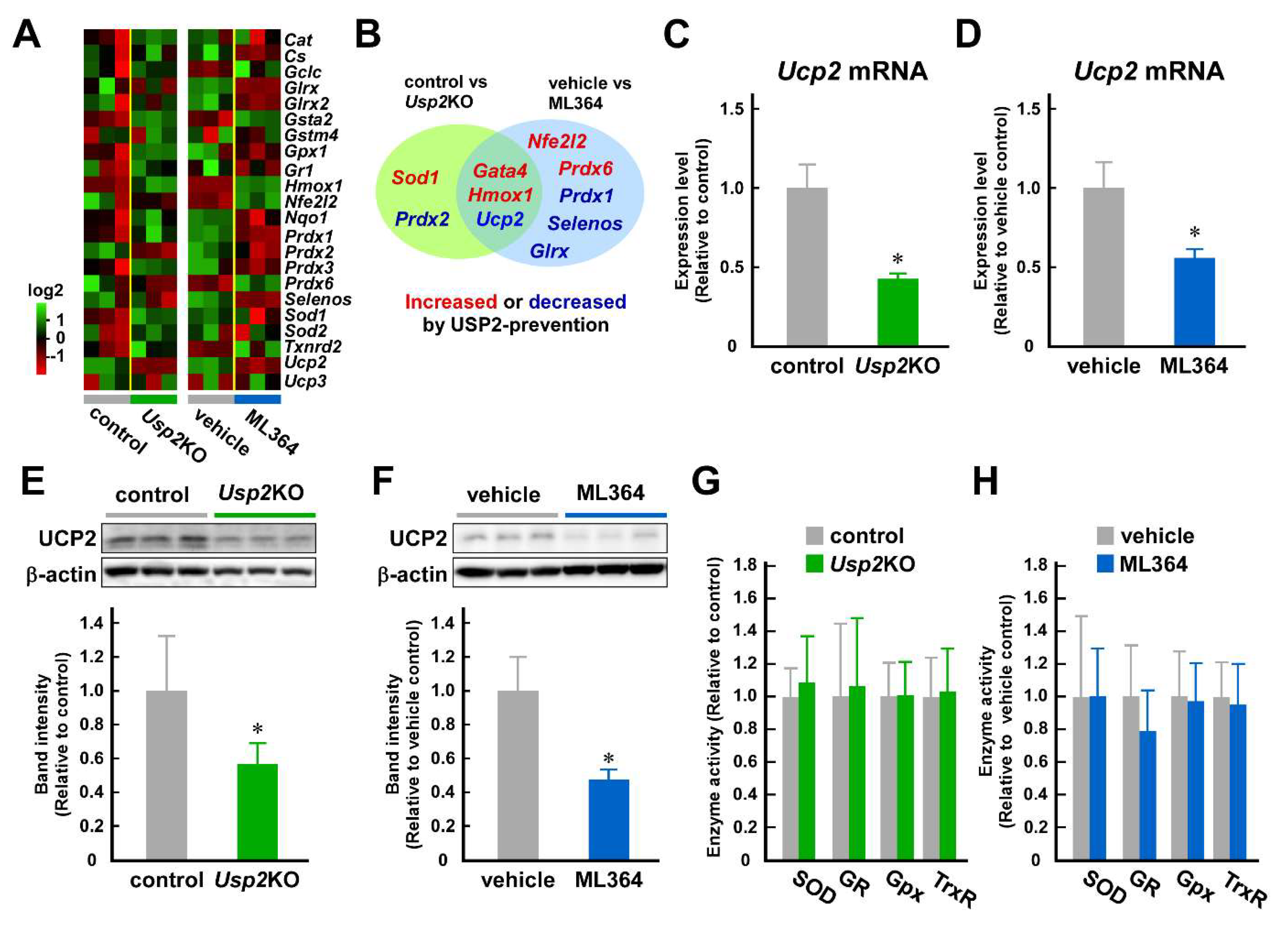 Preprints 113769 g003