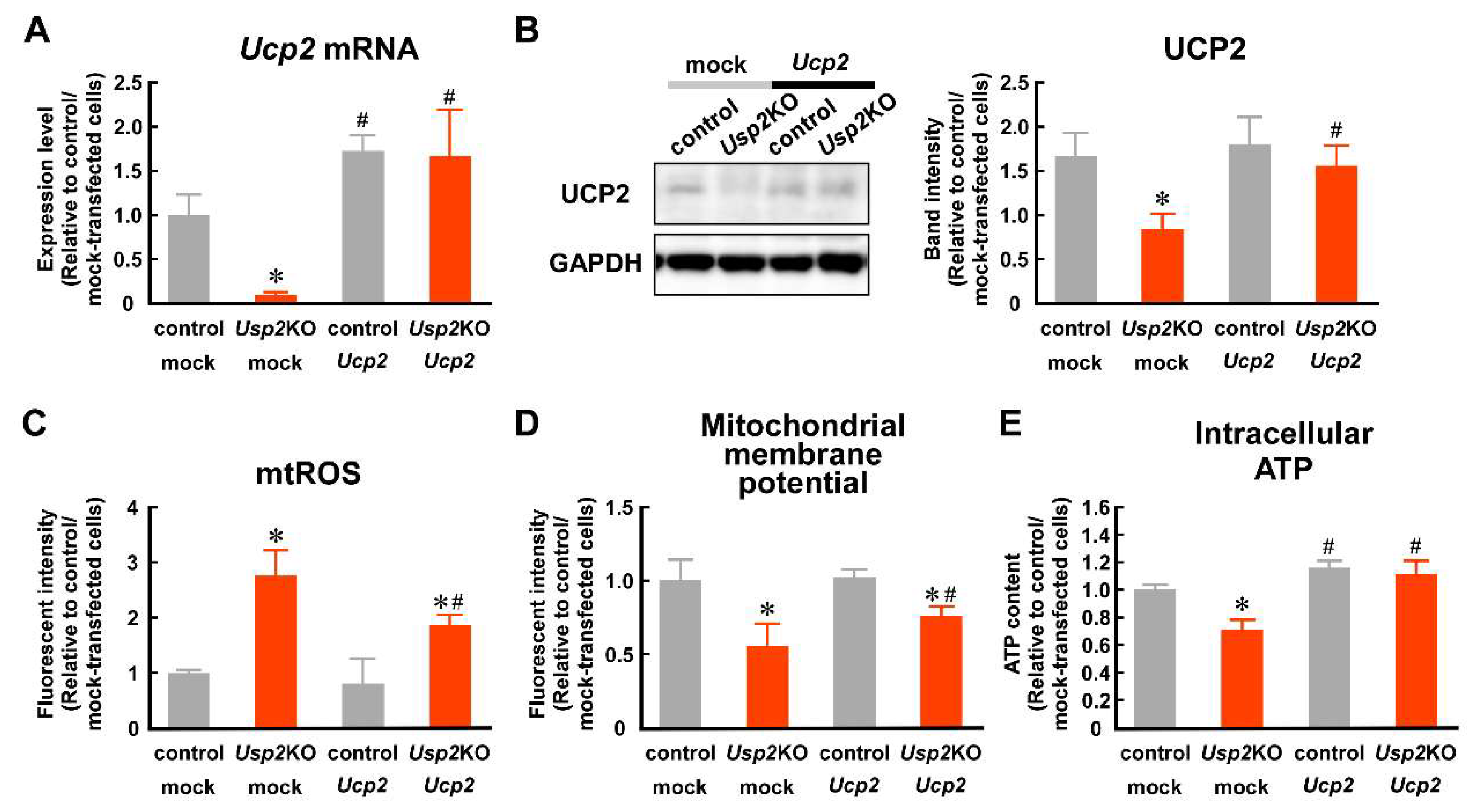 Preprints 113769 g004