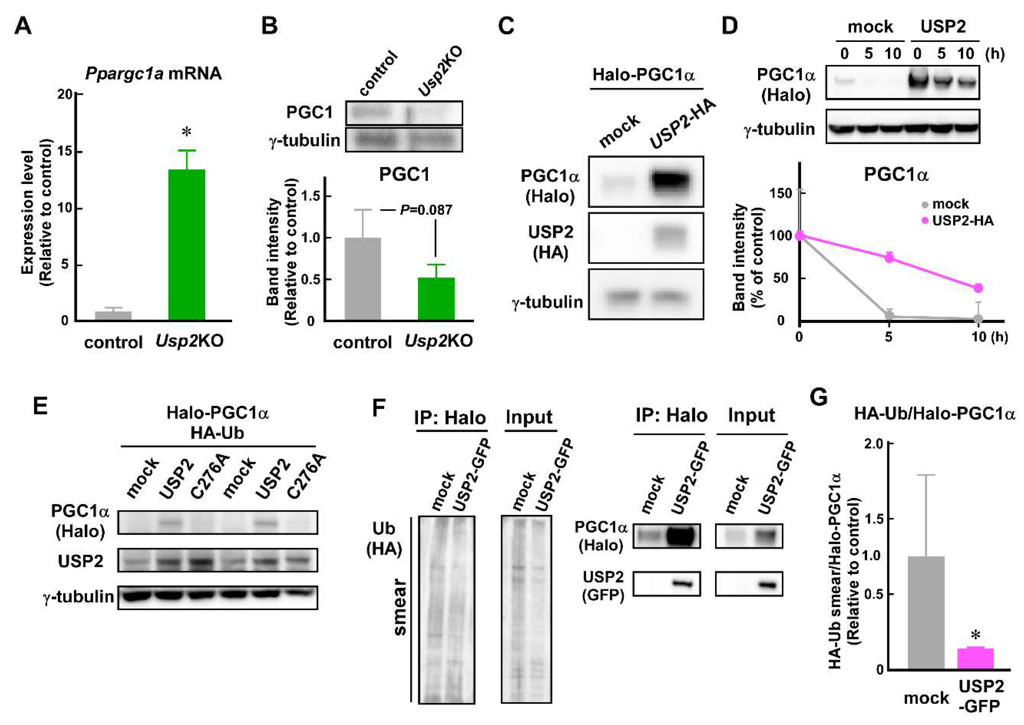 Preprints 113769 g005