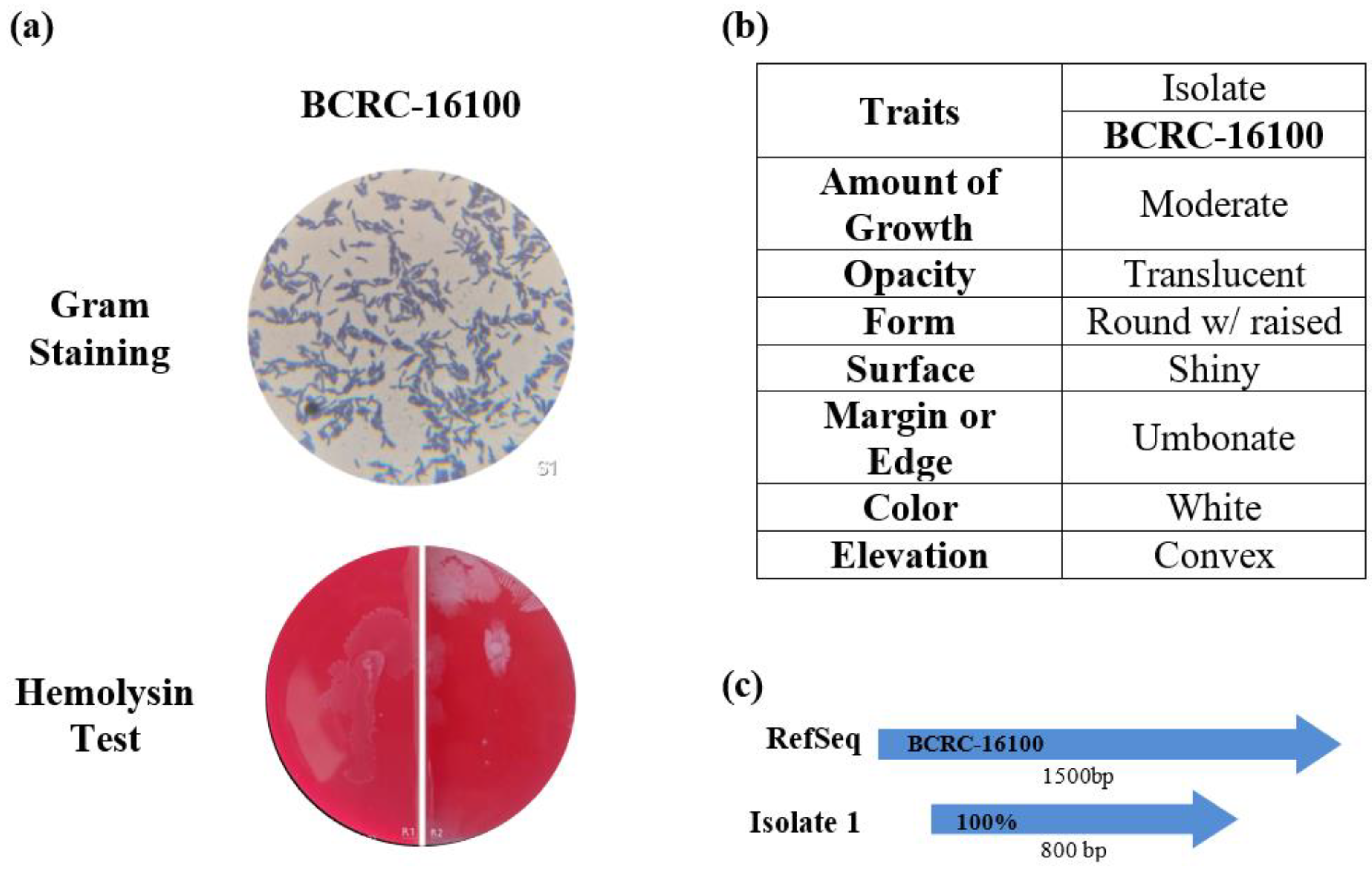 Preprints 118891 g001