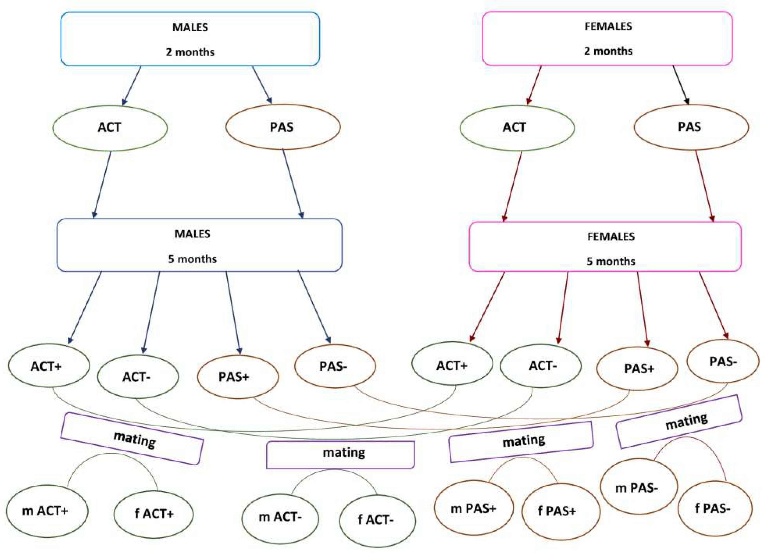 Preprints 67848 g001