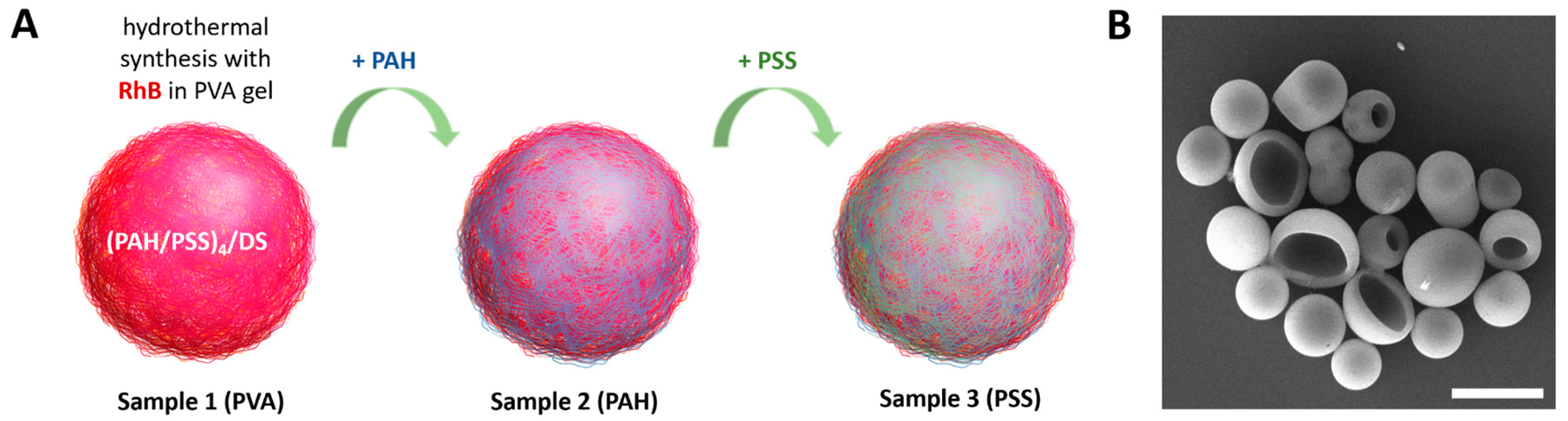 Preprints 107014 g001