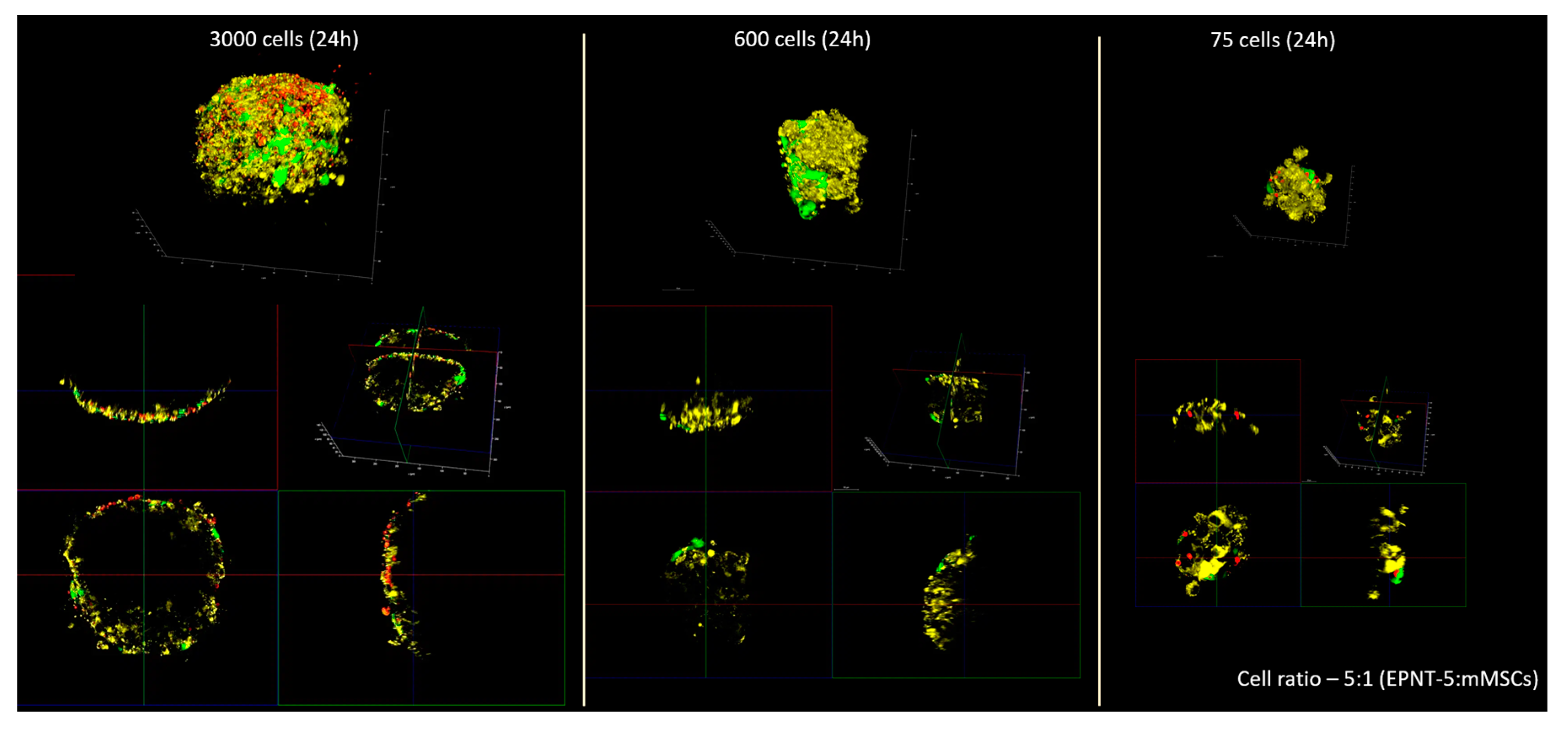 Preprints 107014 g0a2