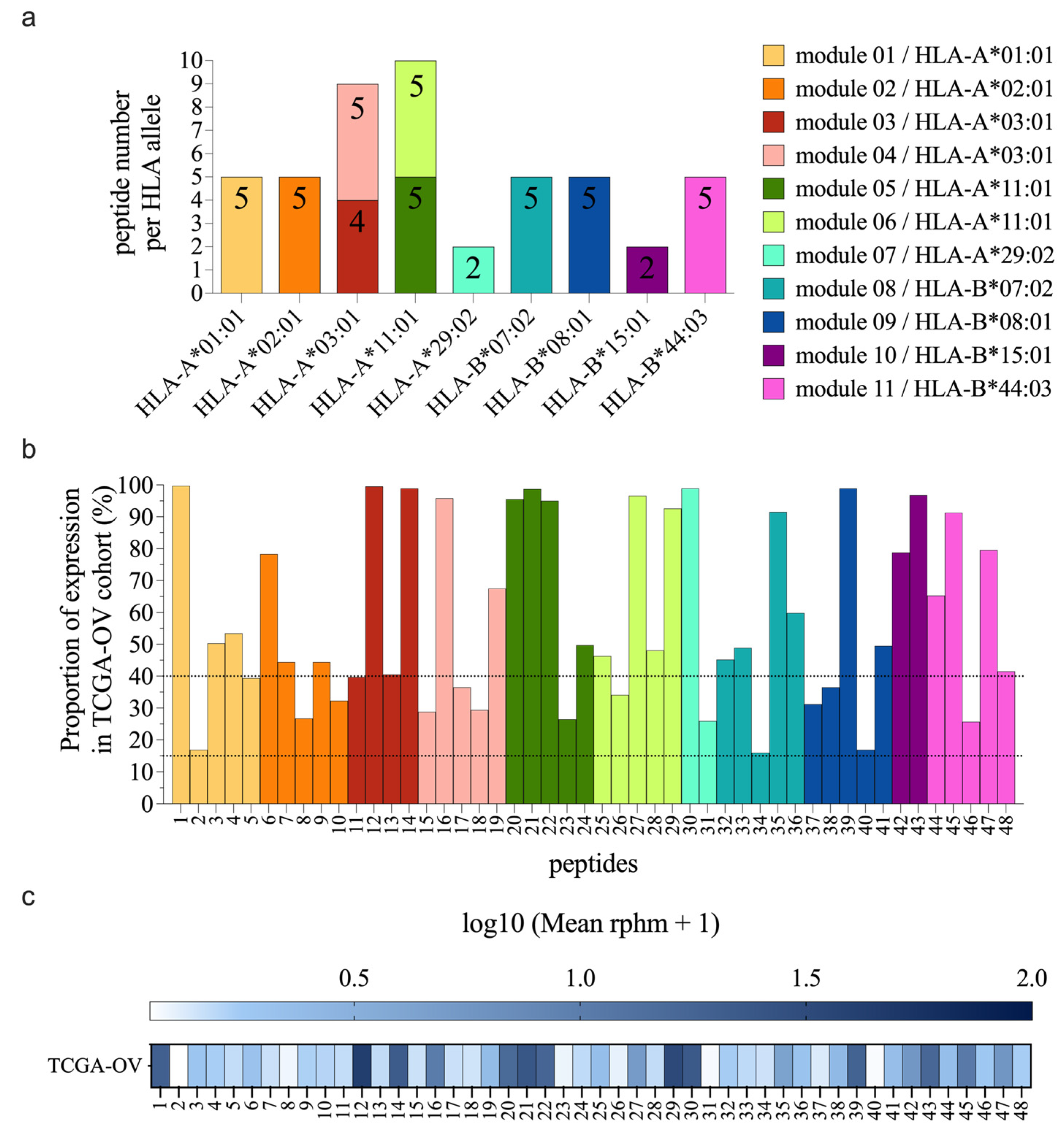 Preprints 103352 g001