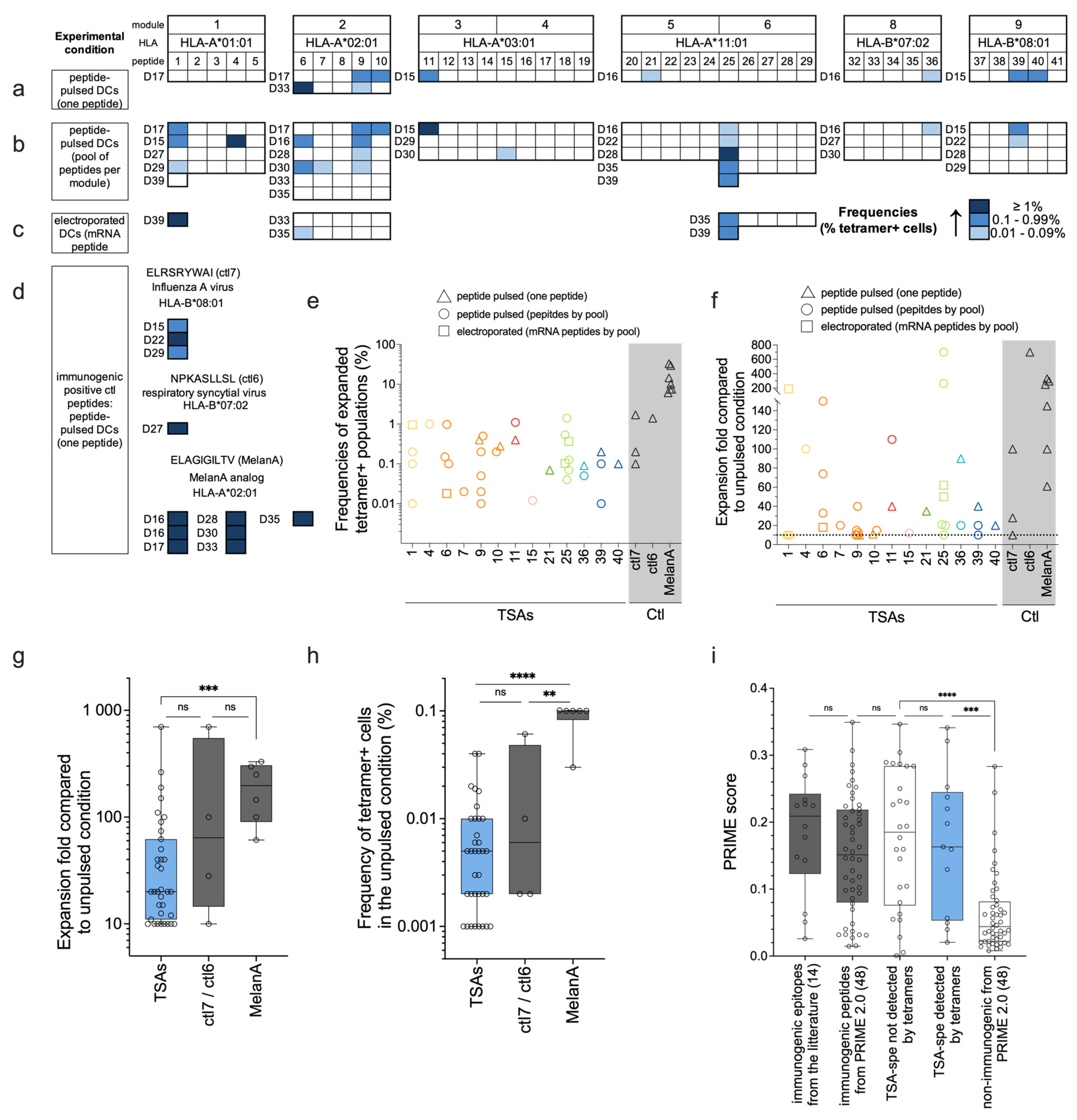 Preprints 103352 g004