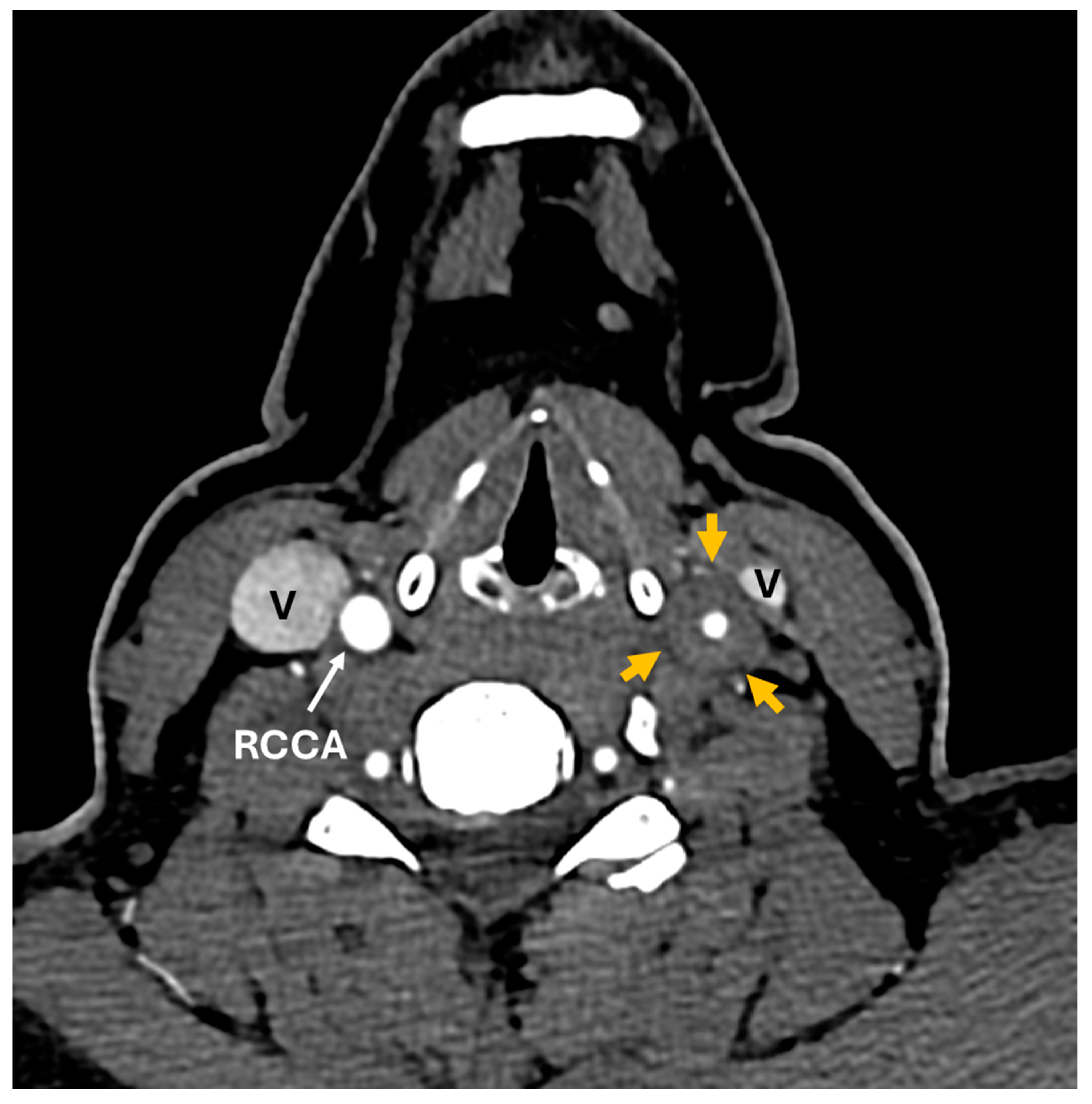 Preprints 109375 g003