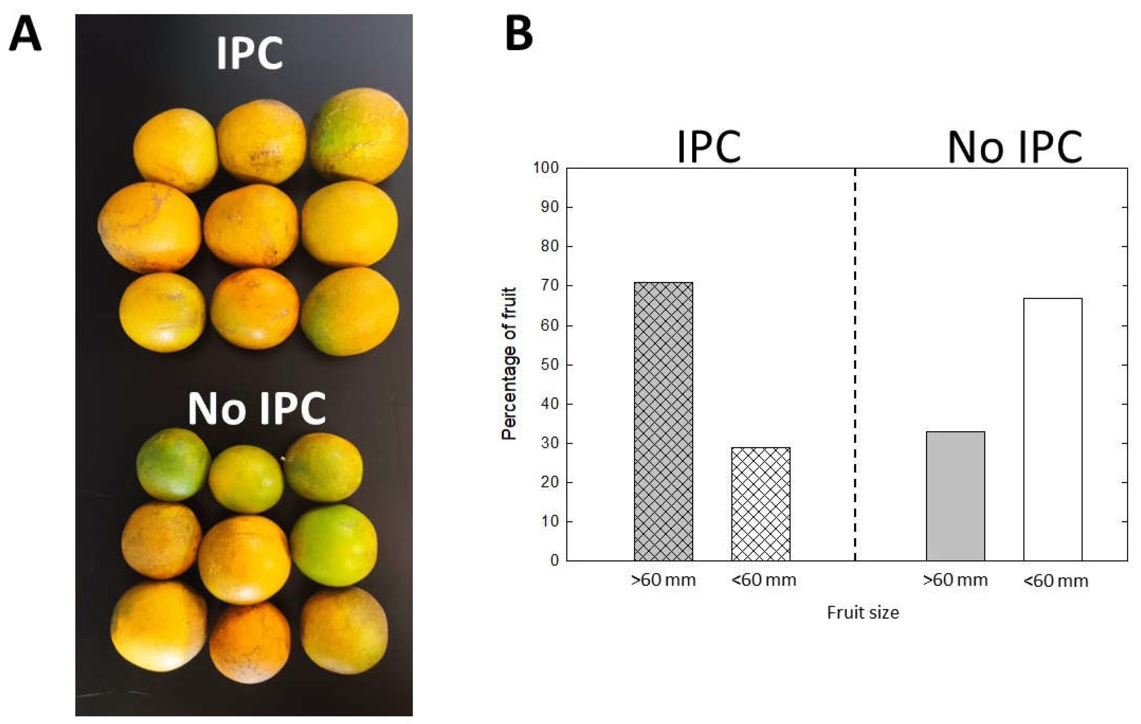 Preprints 113472 g004