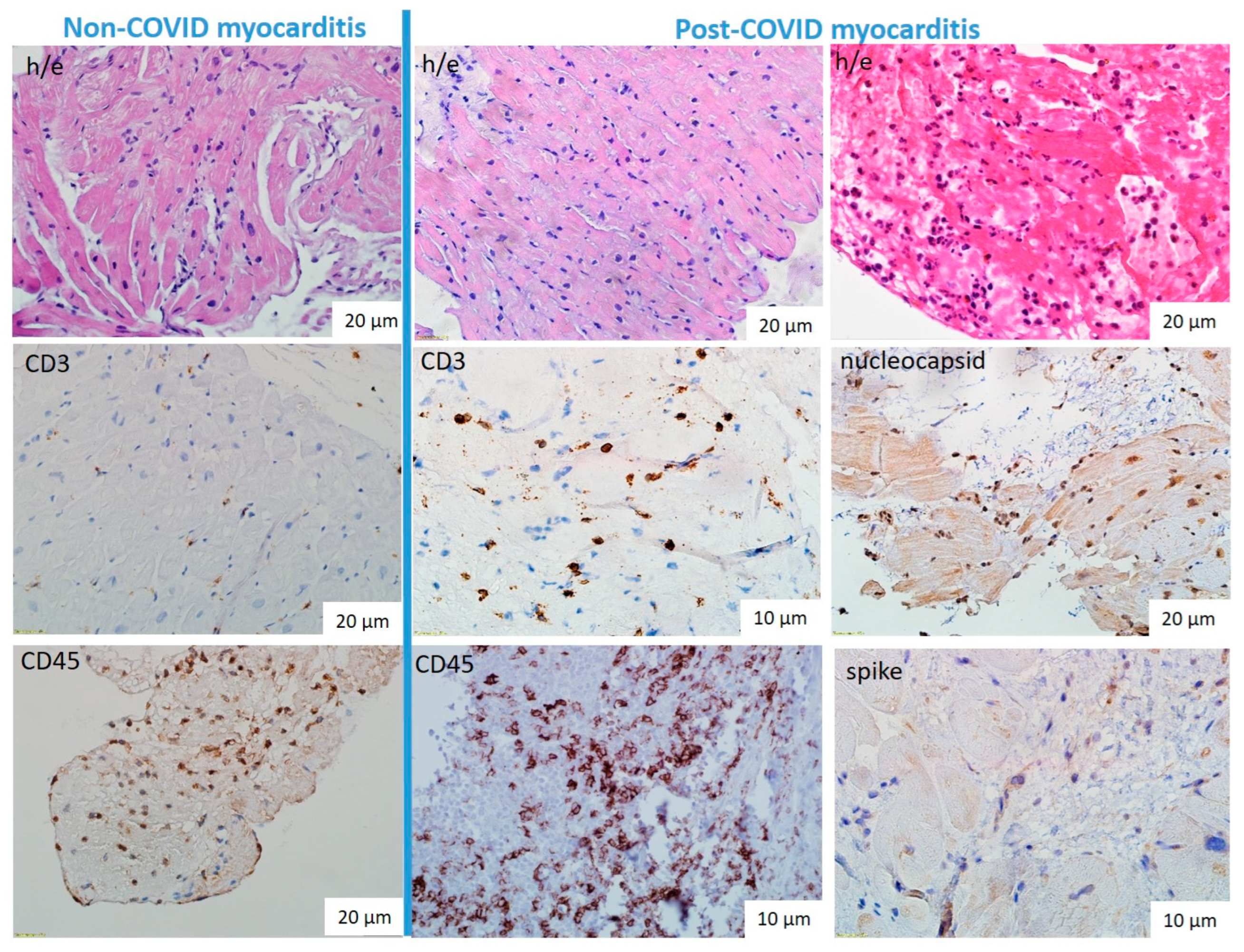 Preprints 137625 g002