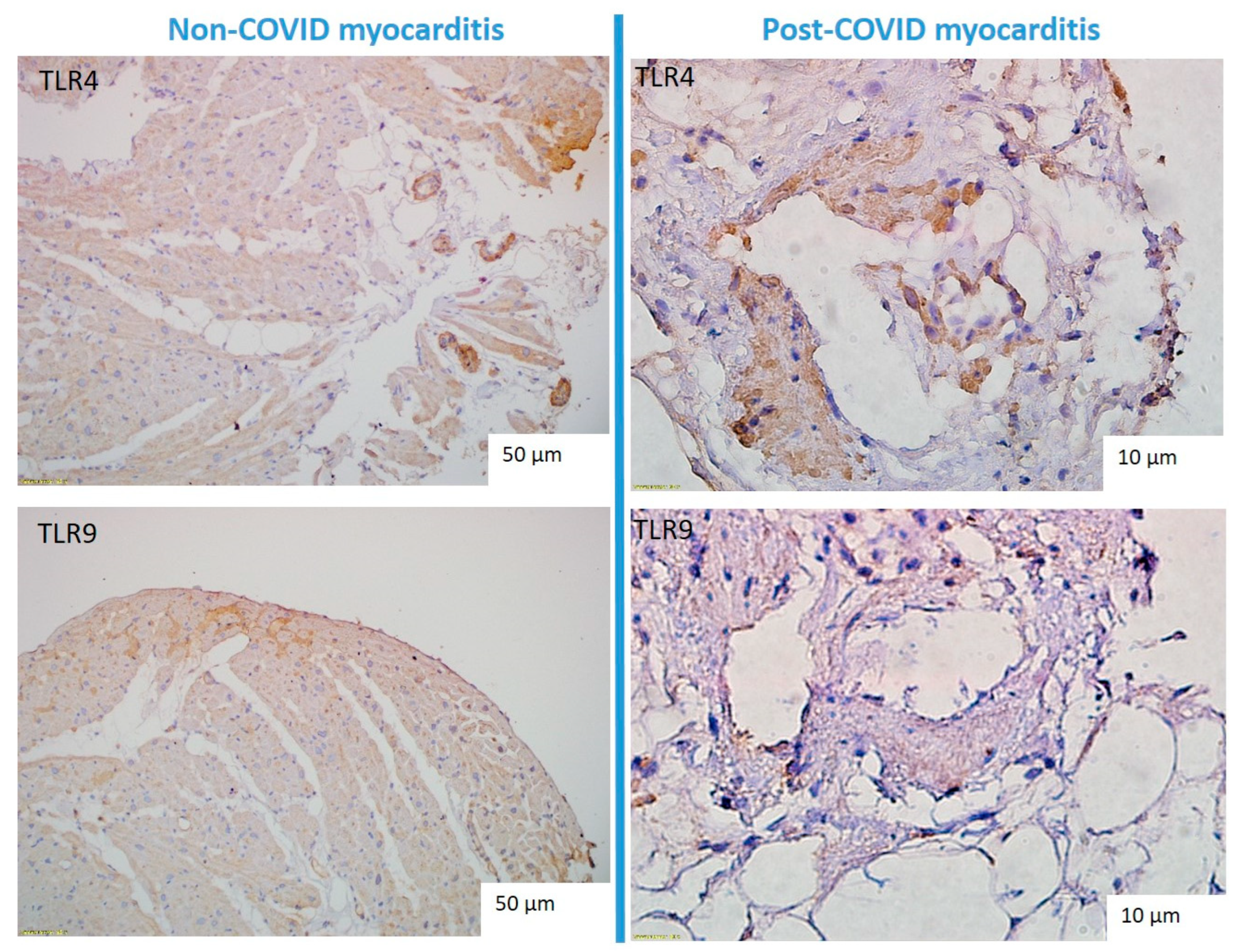 Preprints 137625 g004