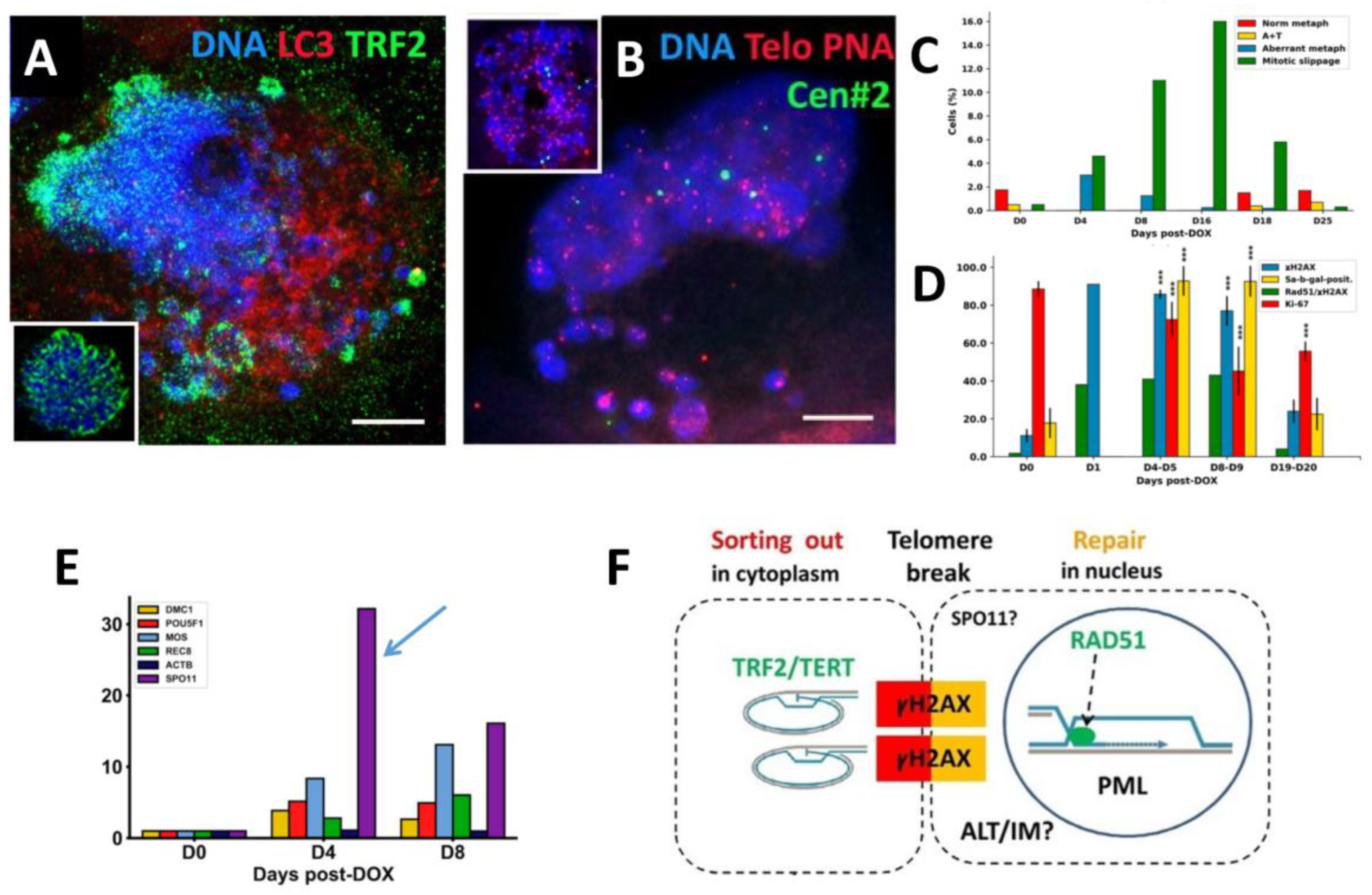 Preprints 94925 g001