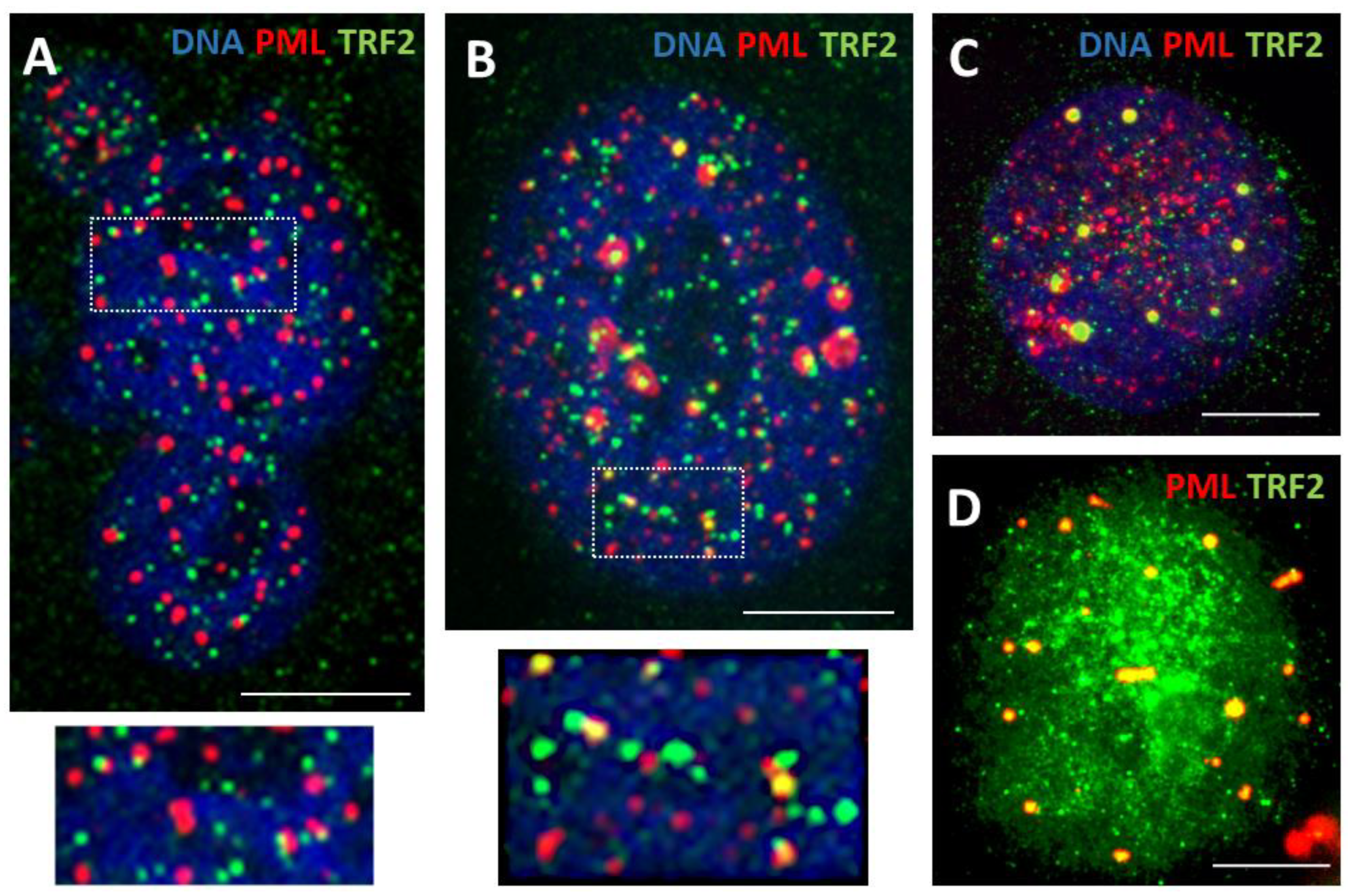 Preprints 94925 g002