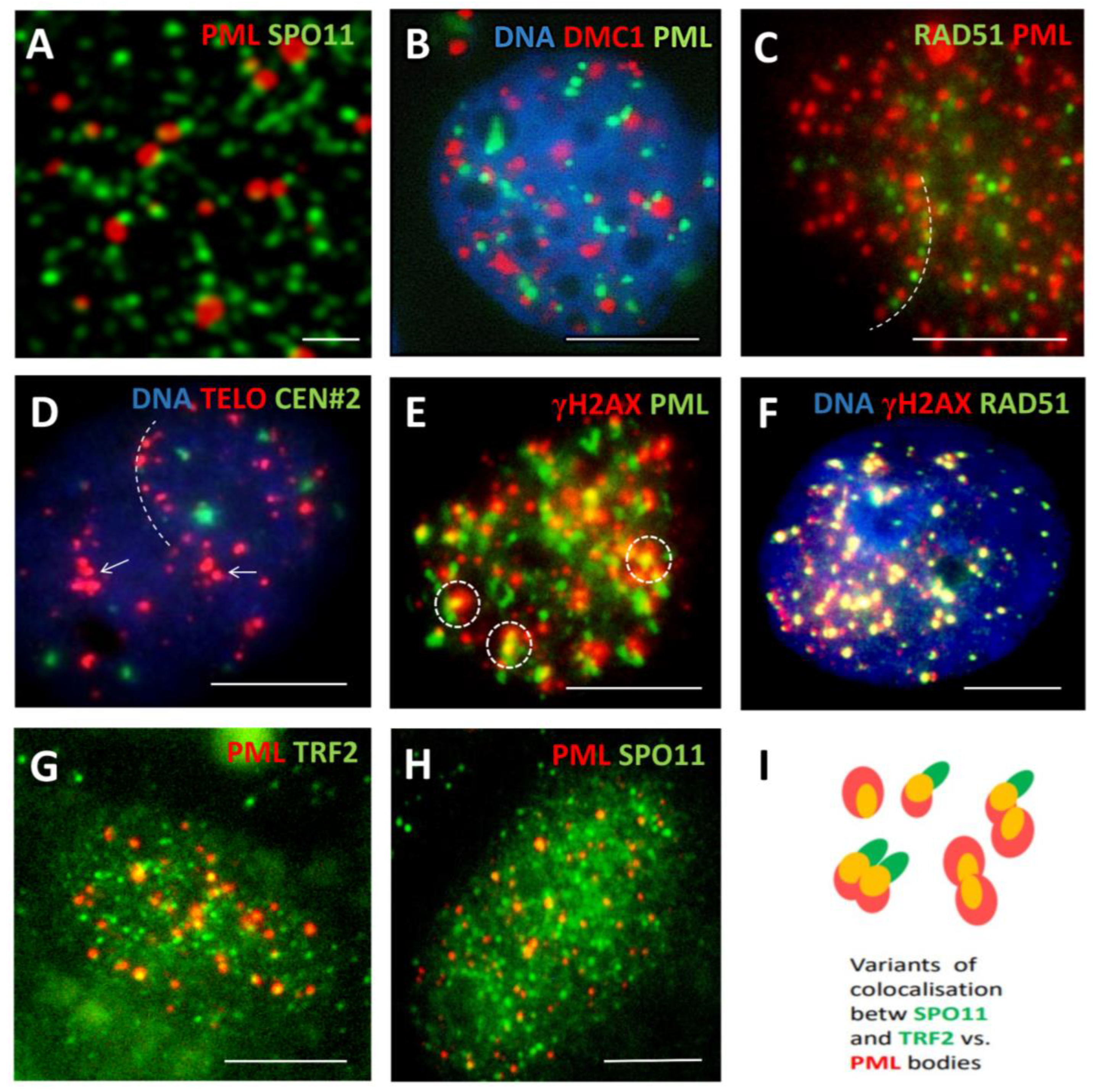 Preprints 94925 g003