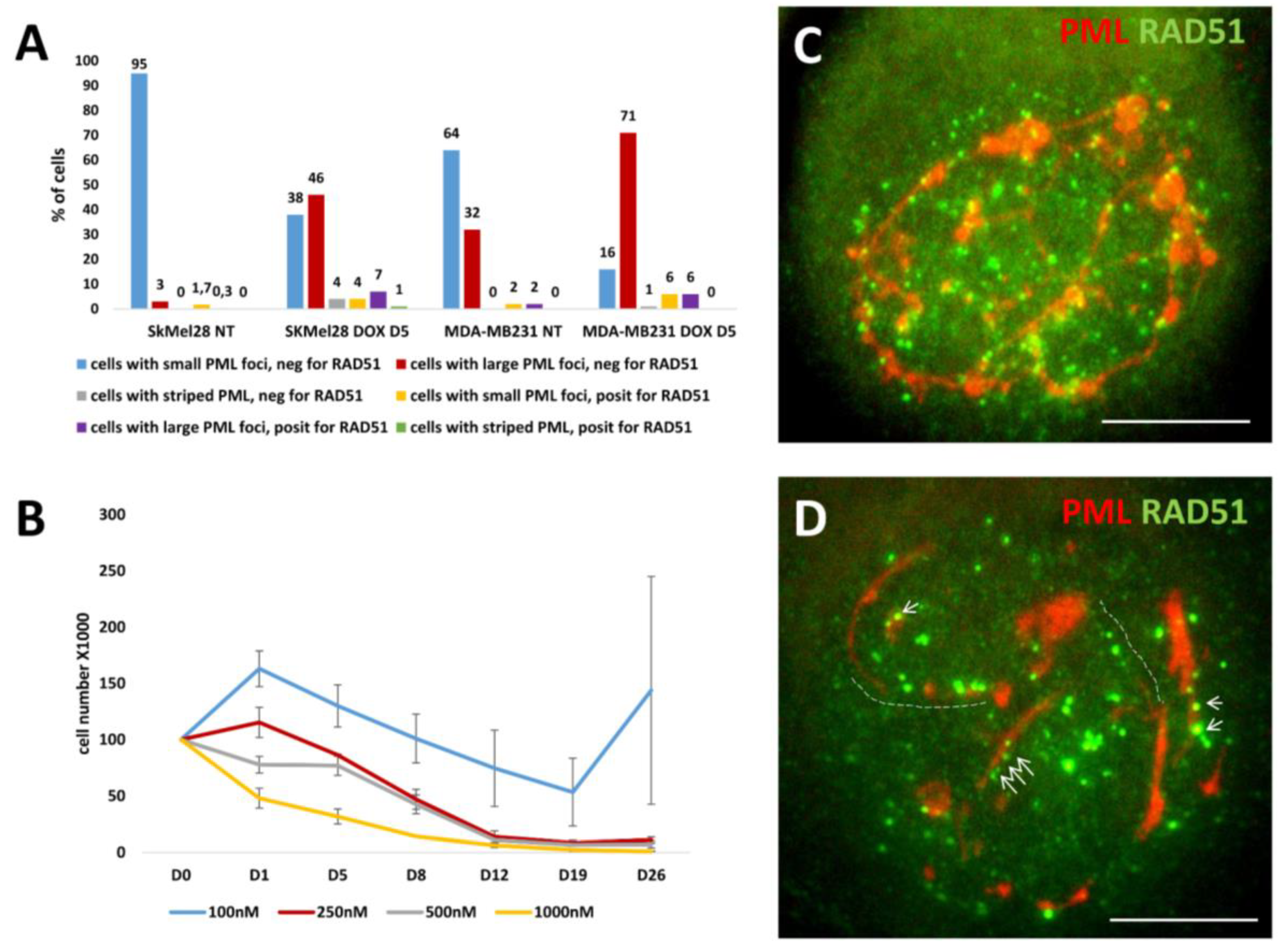 Preprints 94925 g006