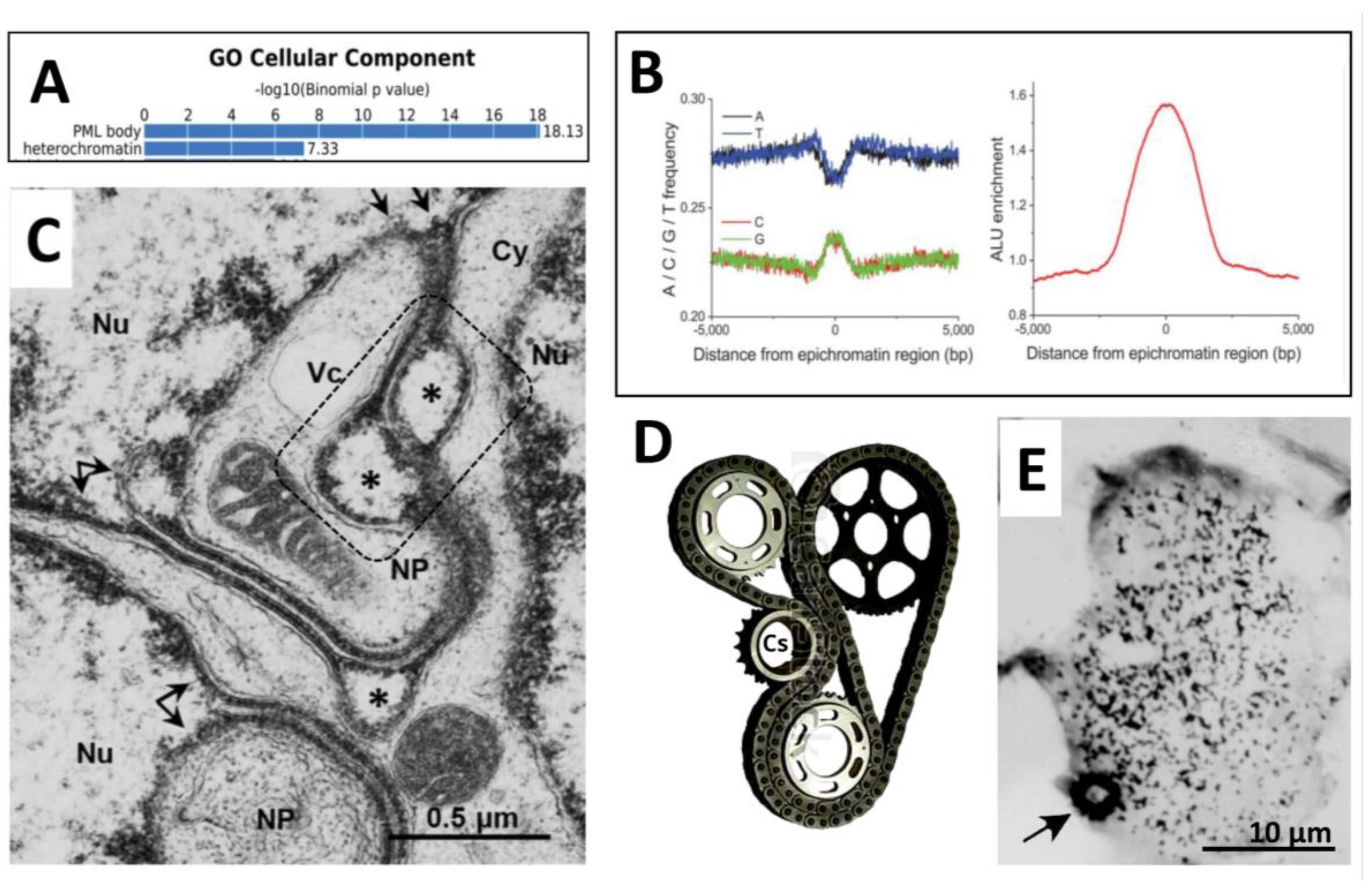 Preprints 94925 g011