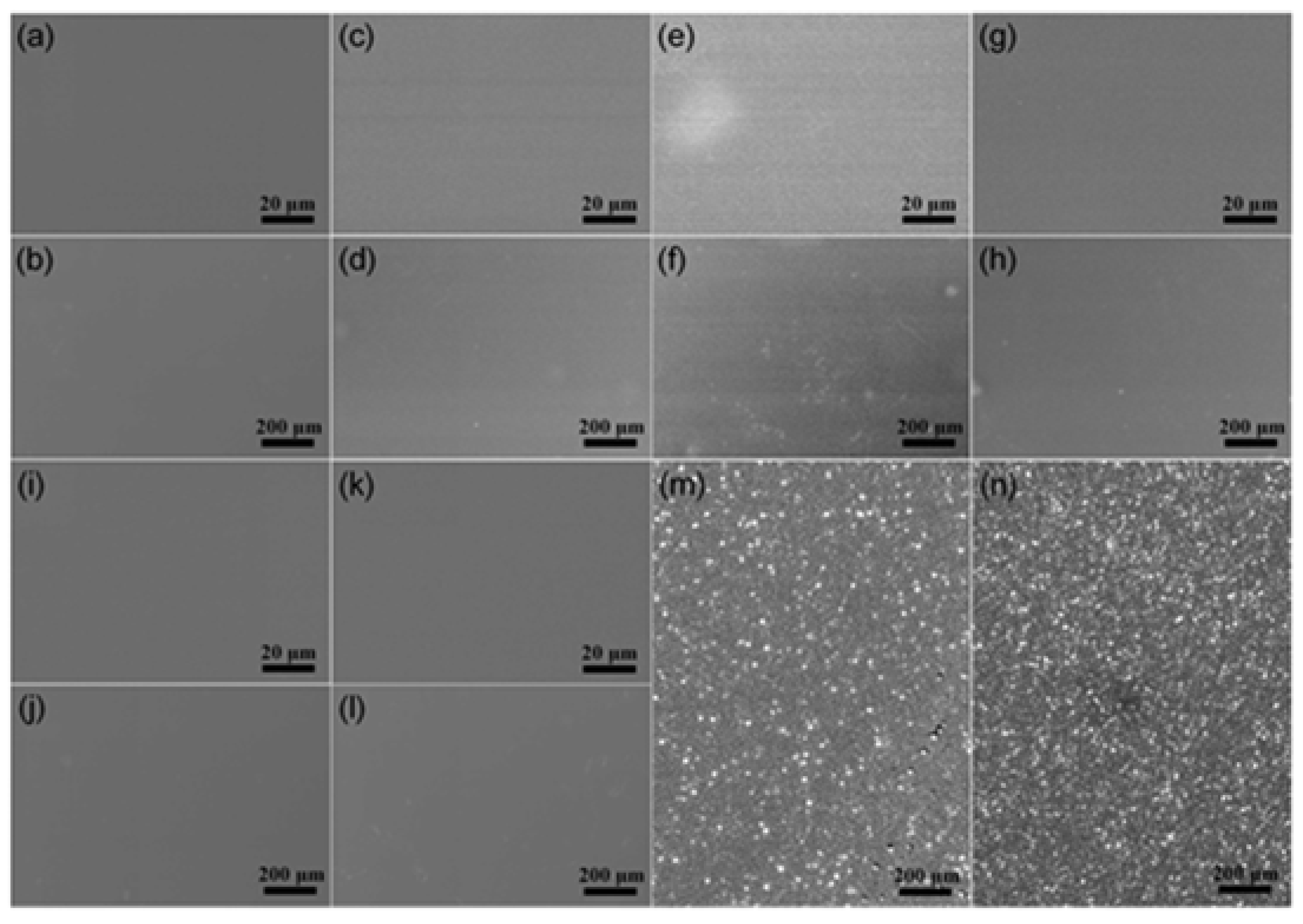 Preprints 80972 g003