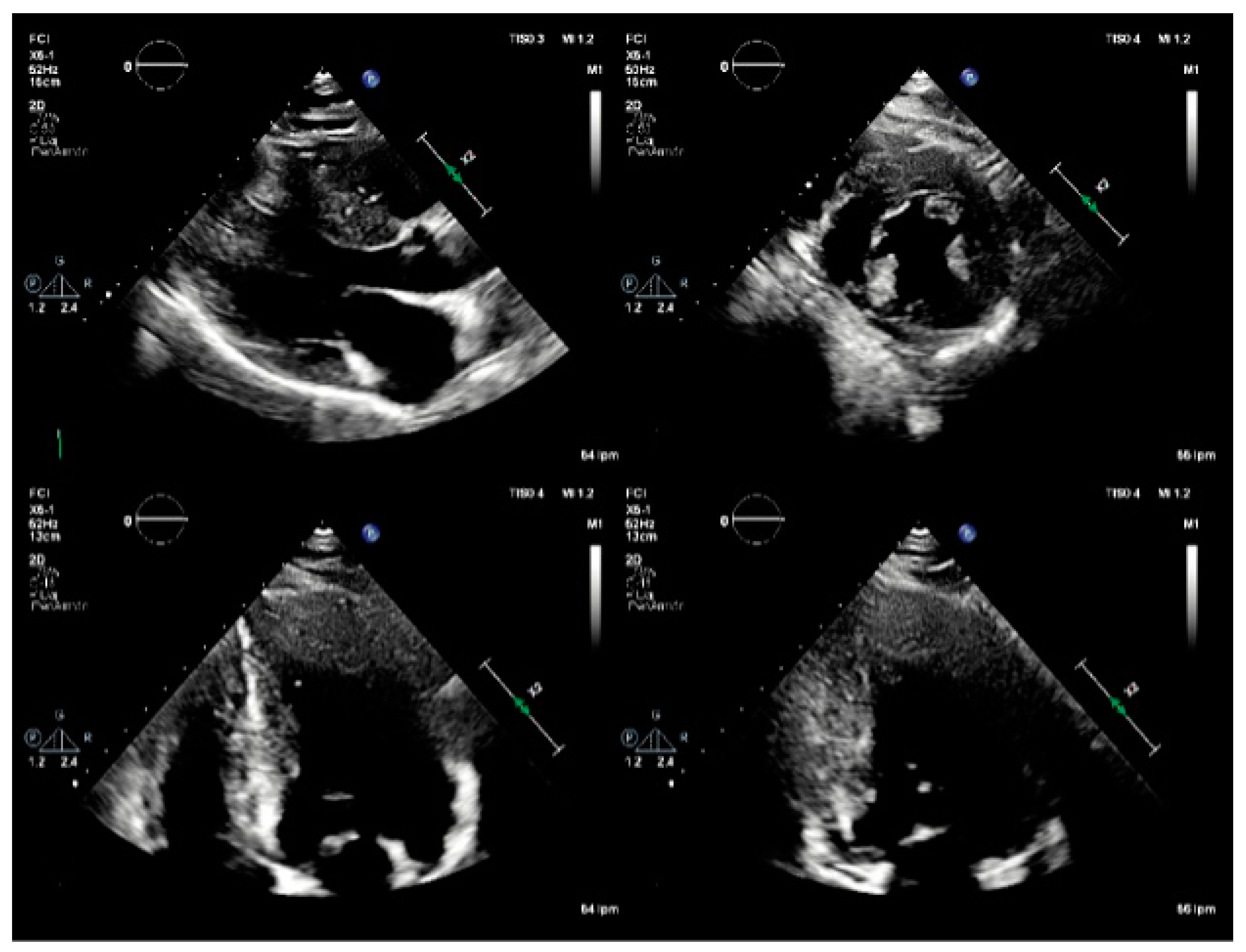 Preprints 75084 g002