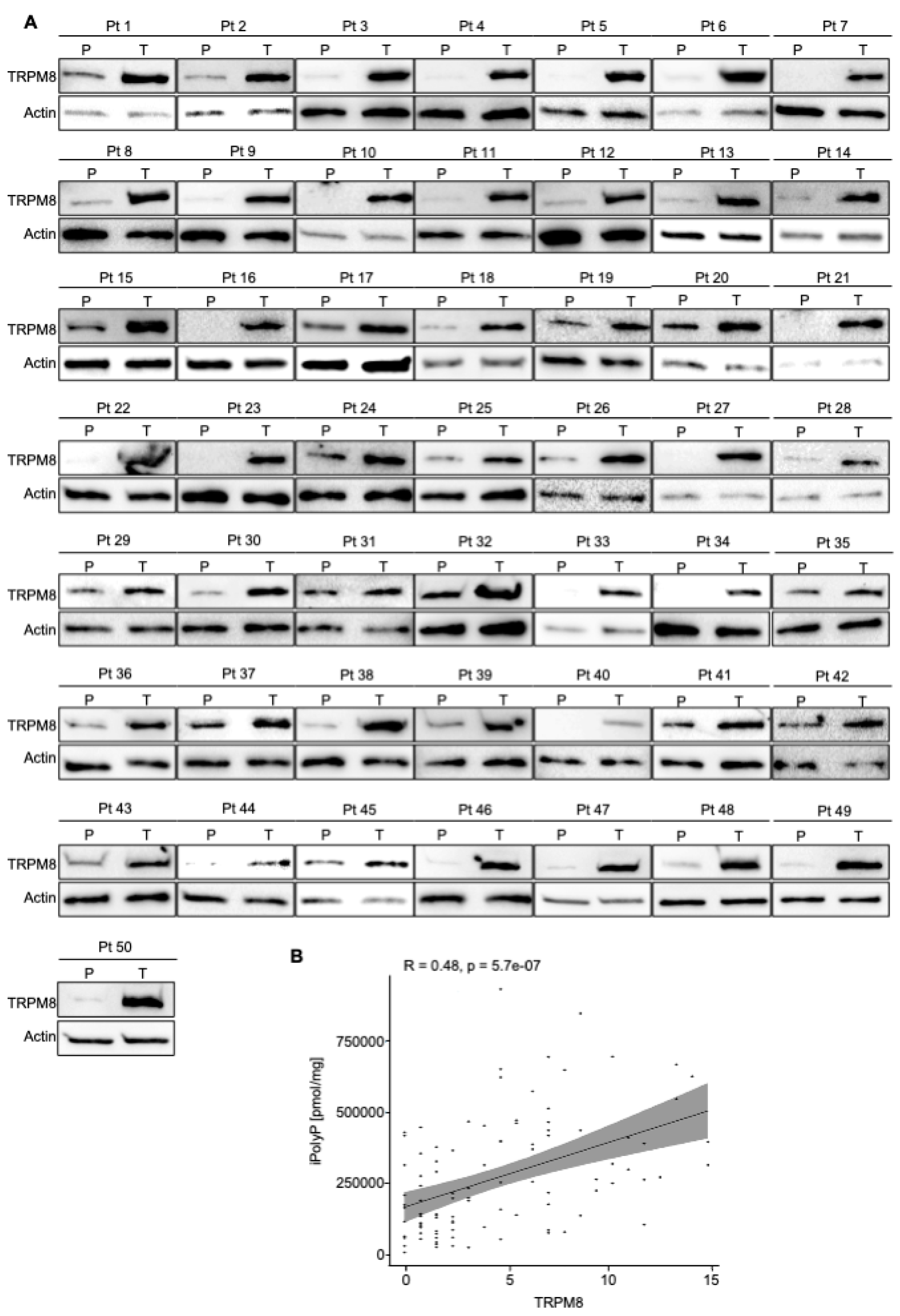 Preprints 117689 g002