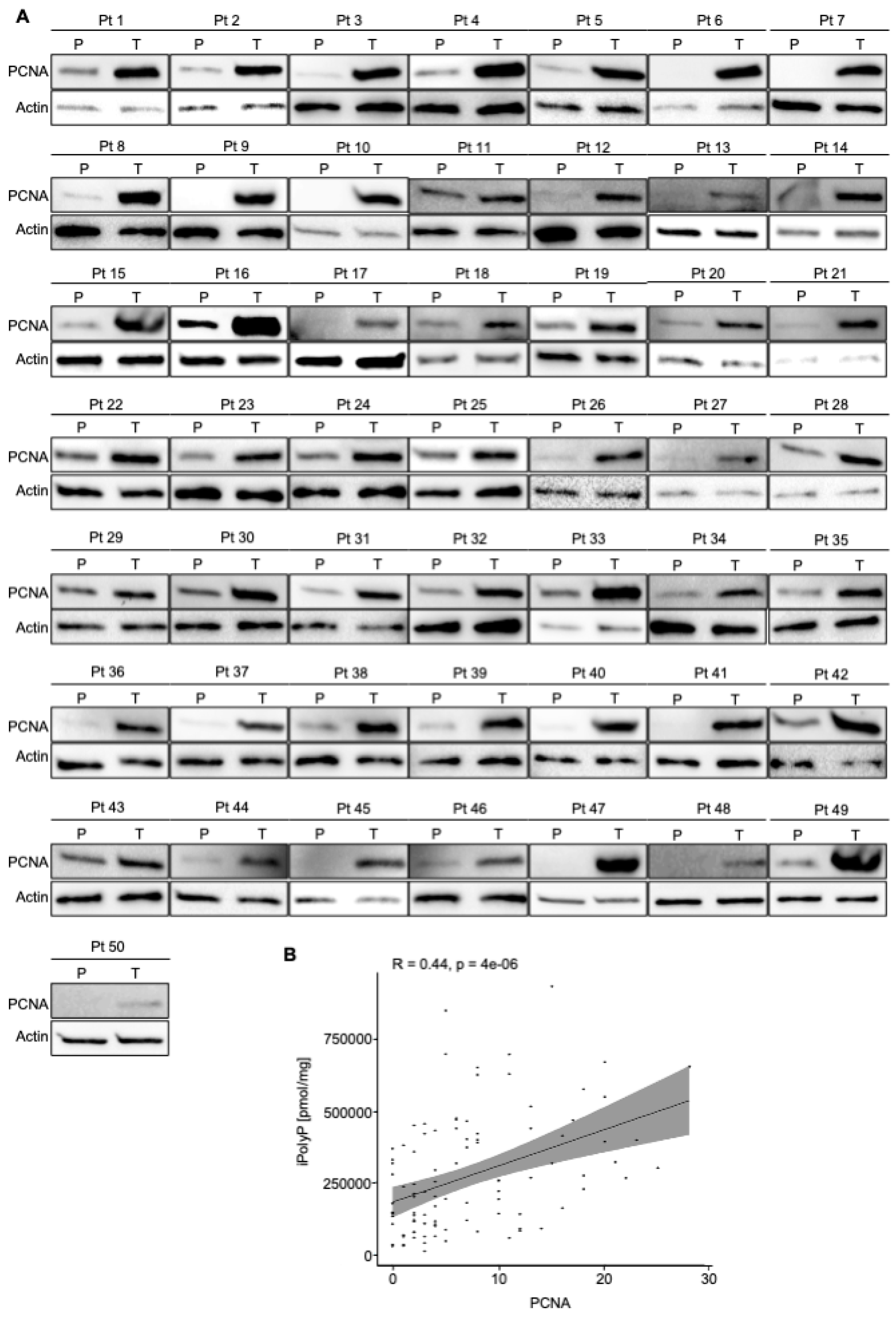 Preprints 117689 g003