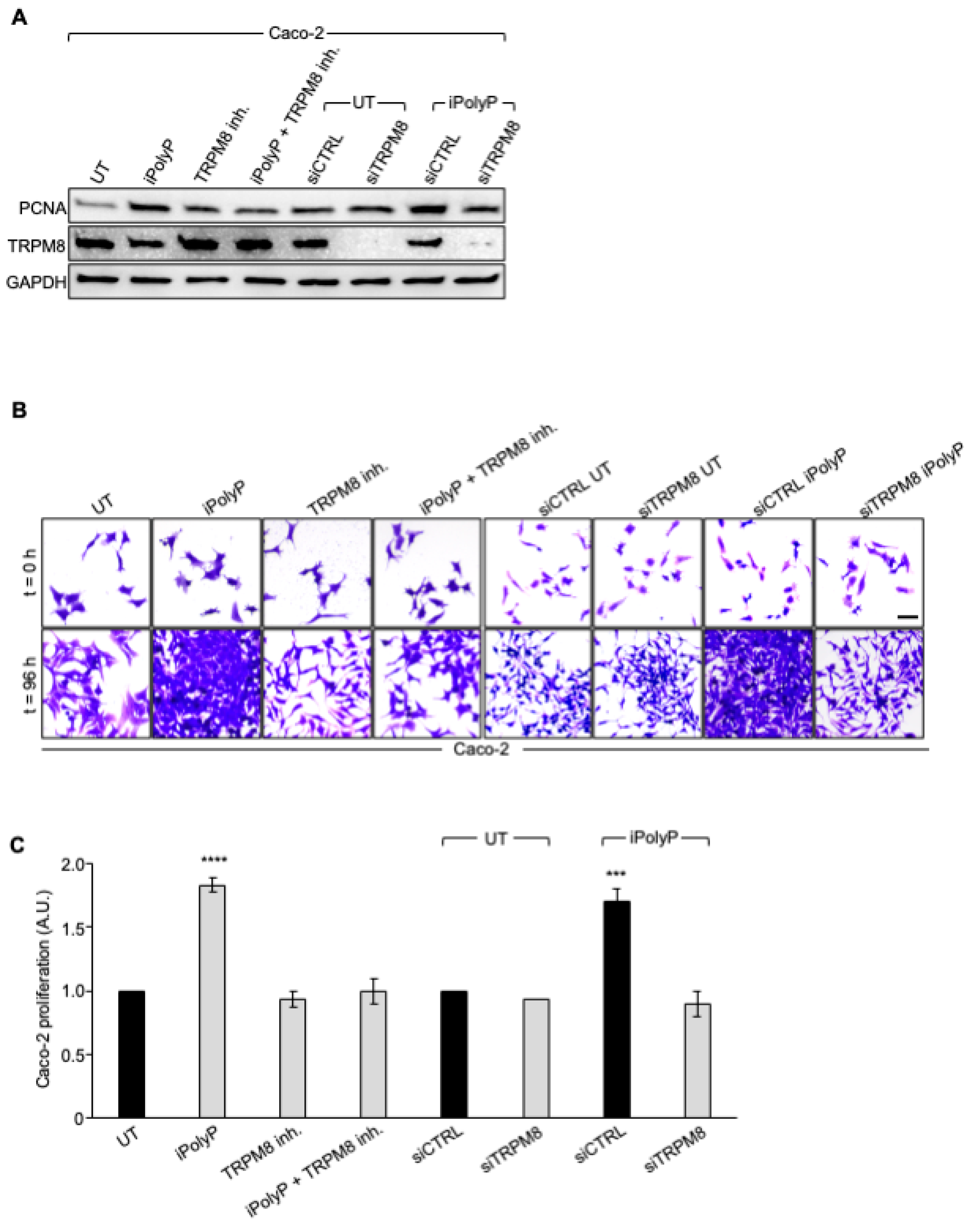 Preprints 117689 g004