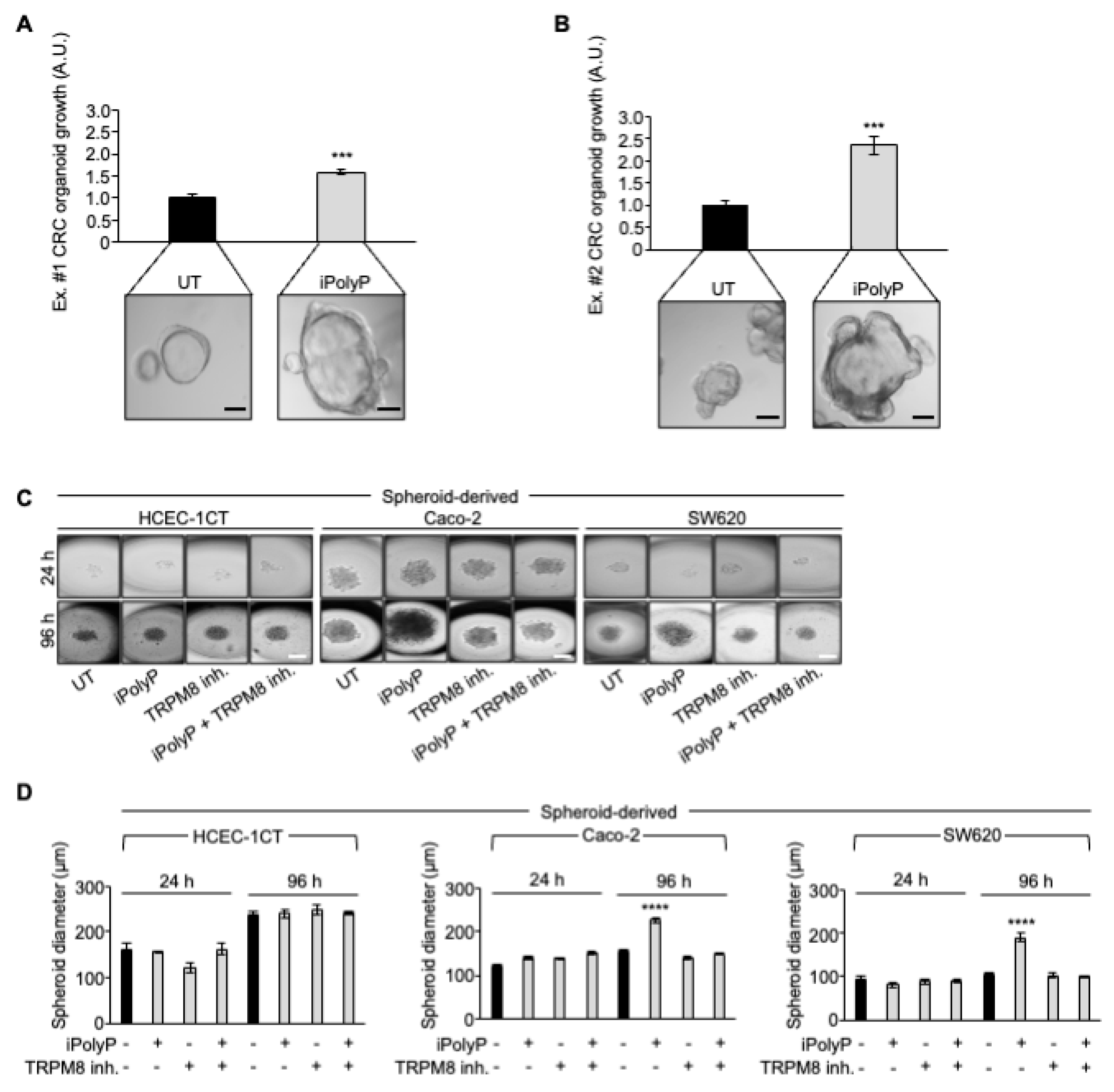 Preprints 117689 g005