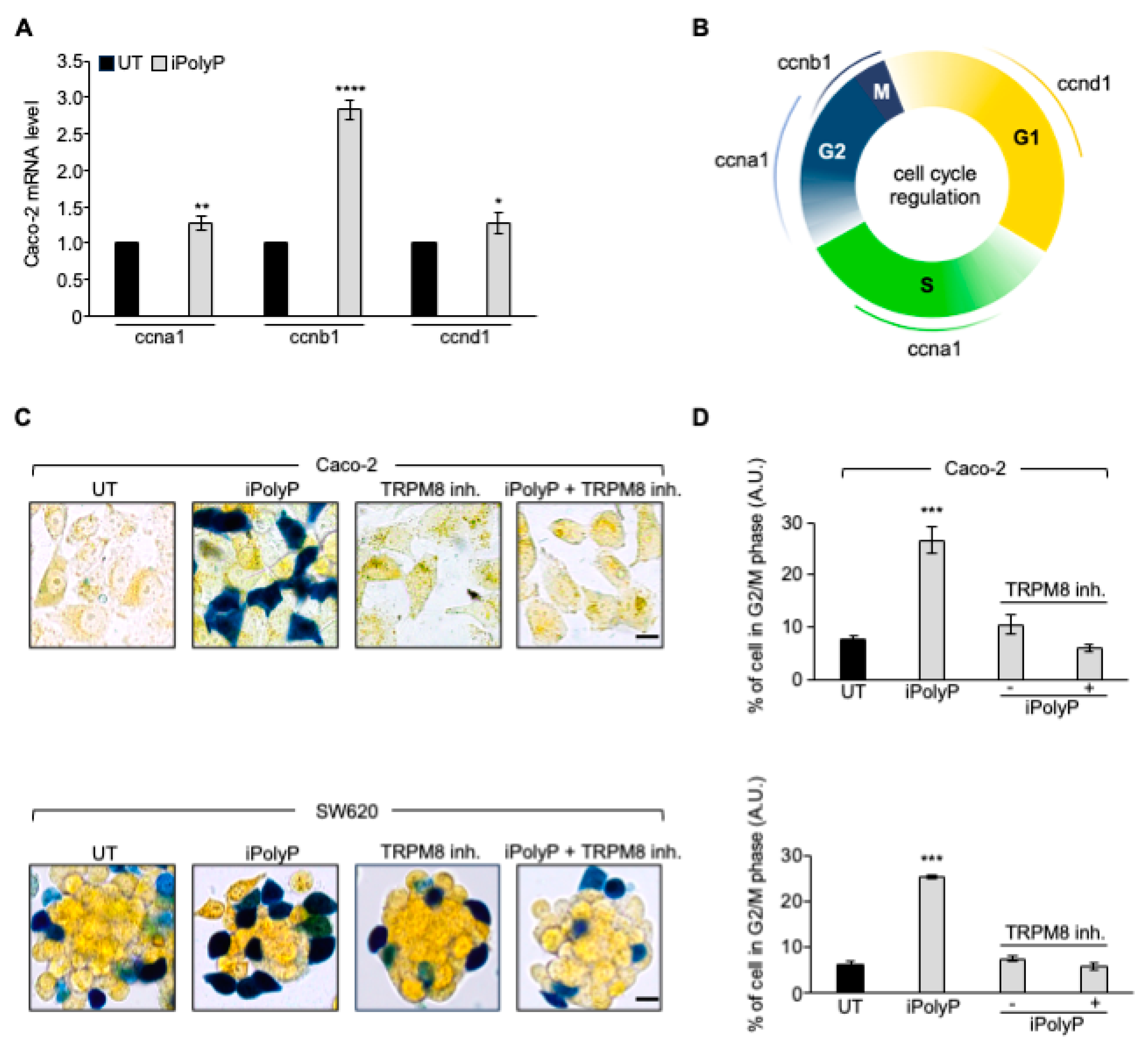 Preprints 117689 g006