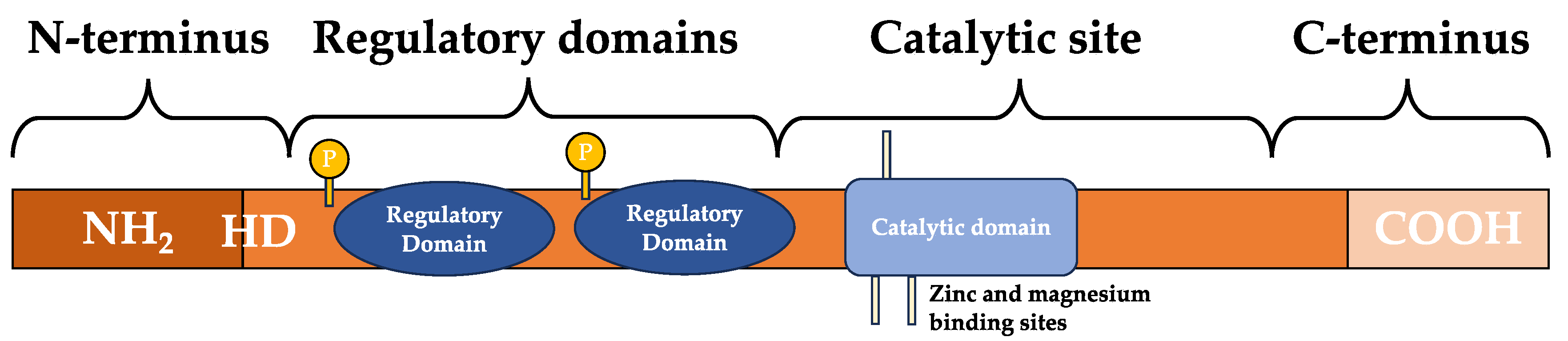 Preprints 89600 g001