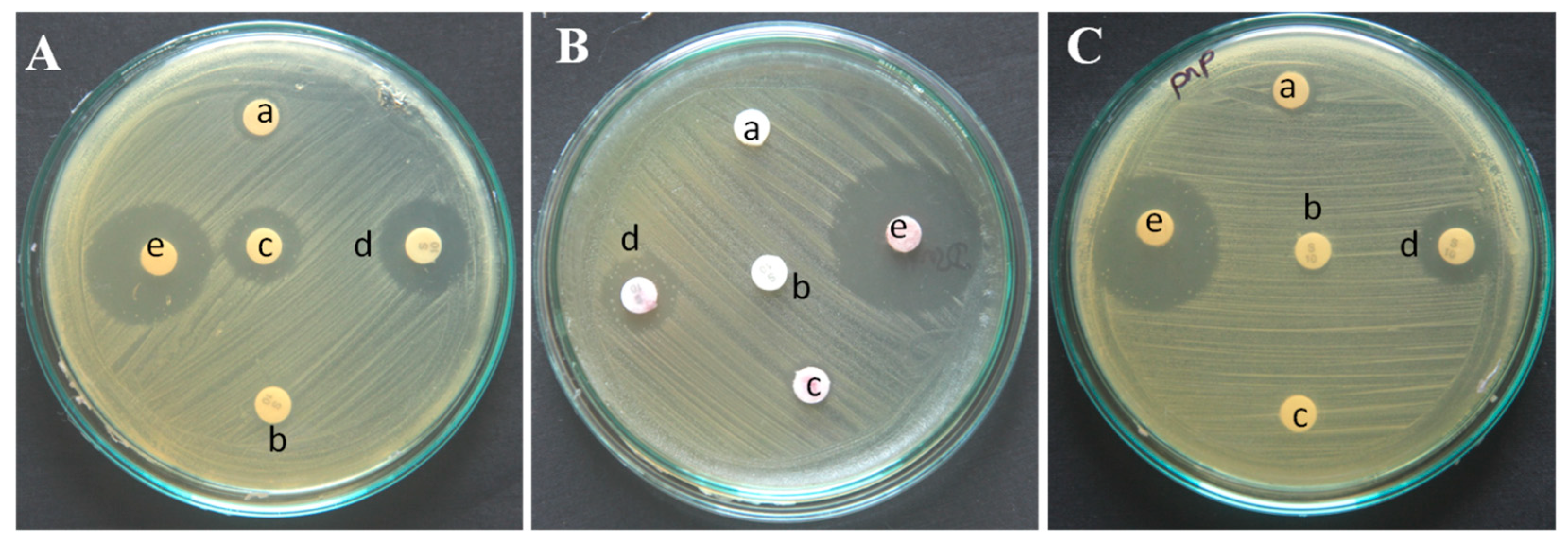 Preprints 68724 g002