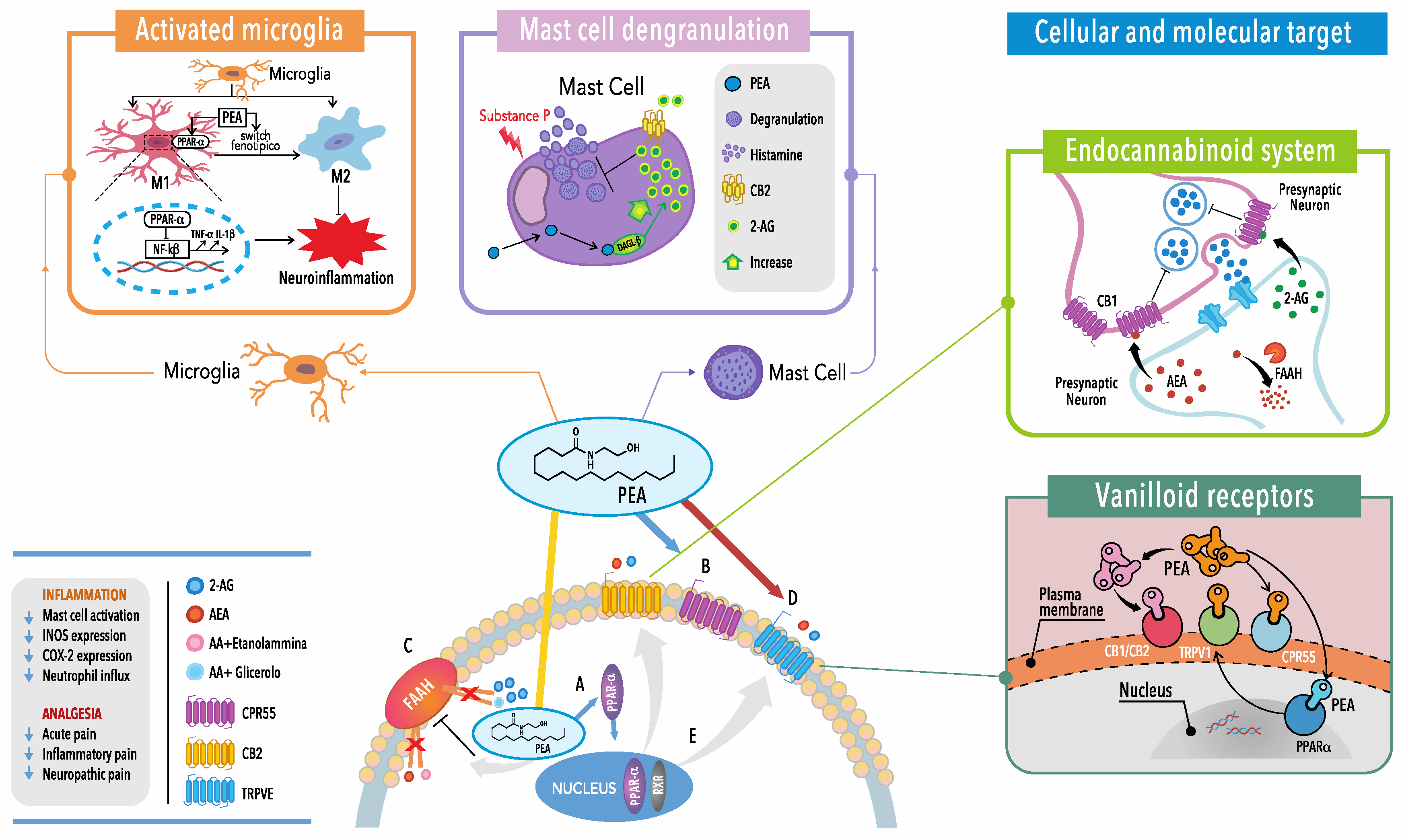 Preprints 100415 g003