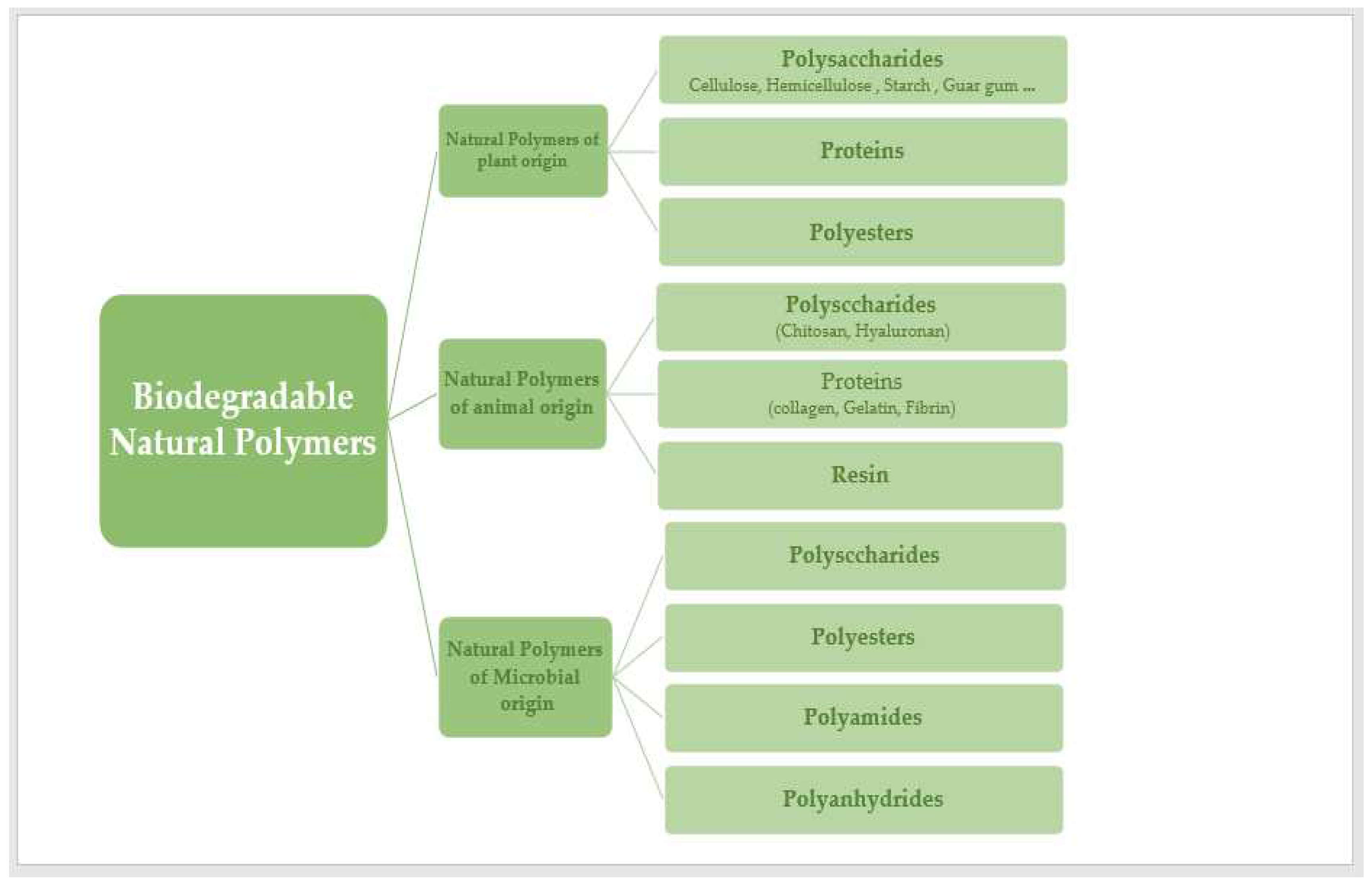 Preprints 94205 g002