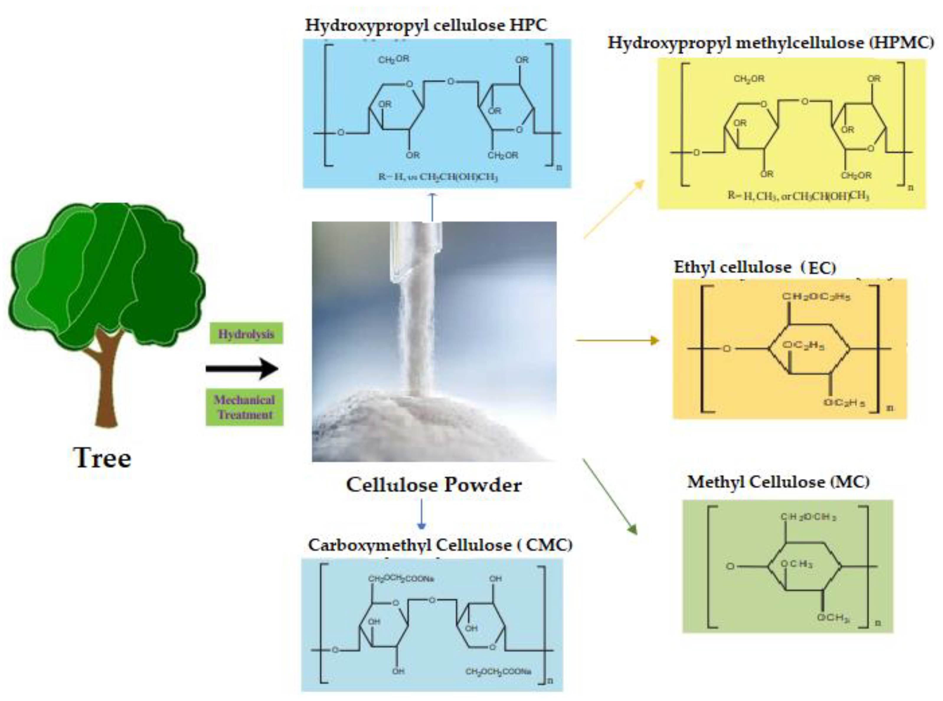 Preprints 94205 g008