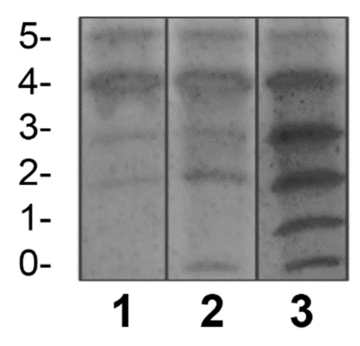 Preprints 103707 g001