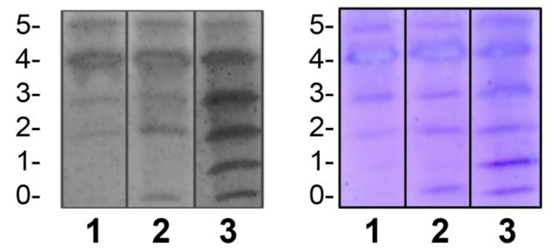 Preprints 103707 g002