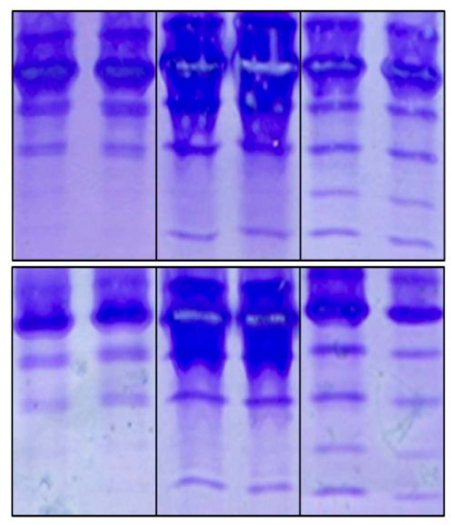 Preprints 103707 g003