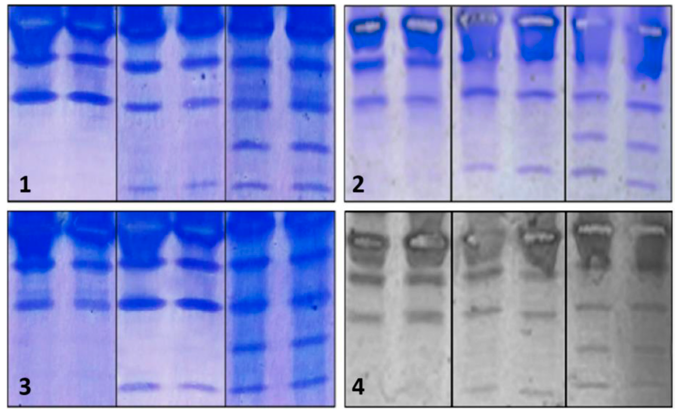 Preprints 103707 g004