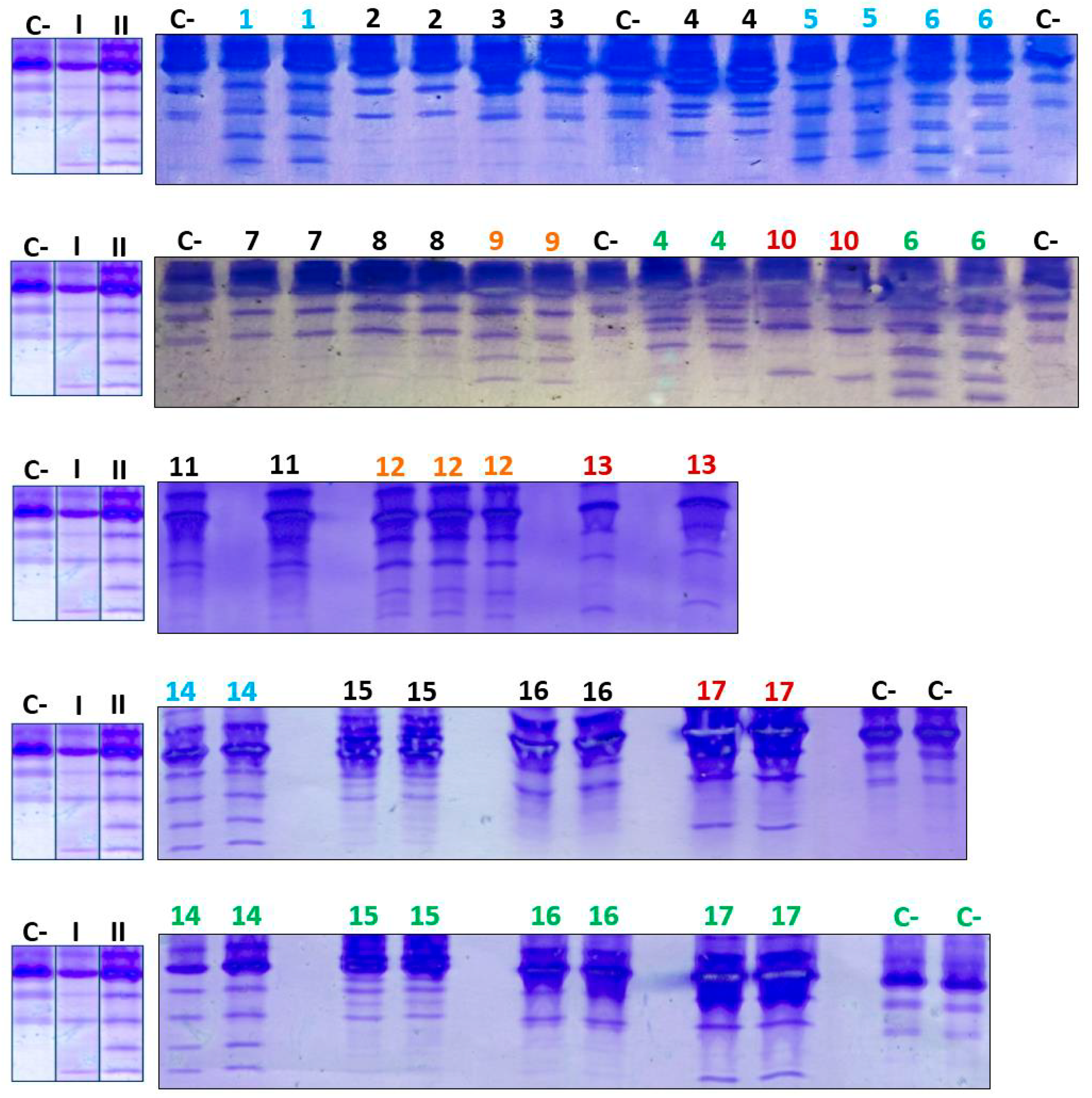 Preprints 103707 g005