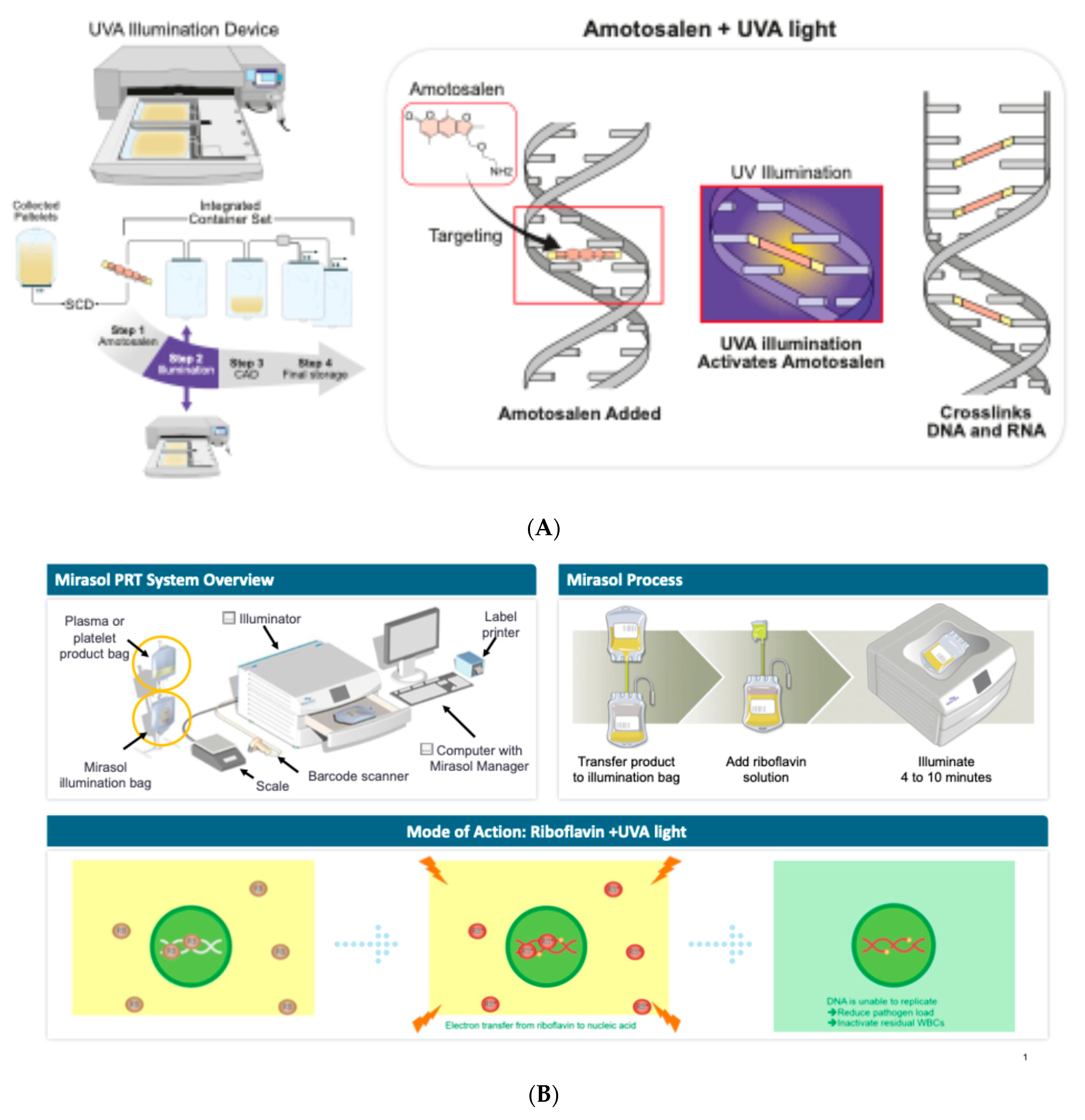 Preprints 112636 g001