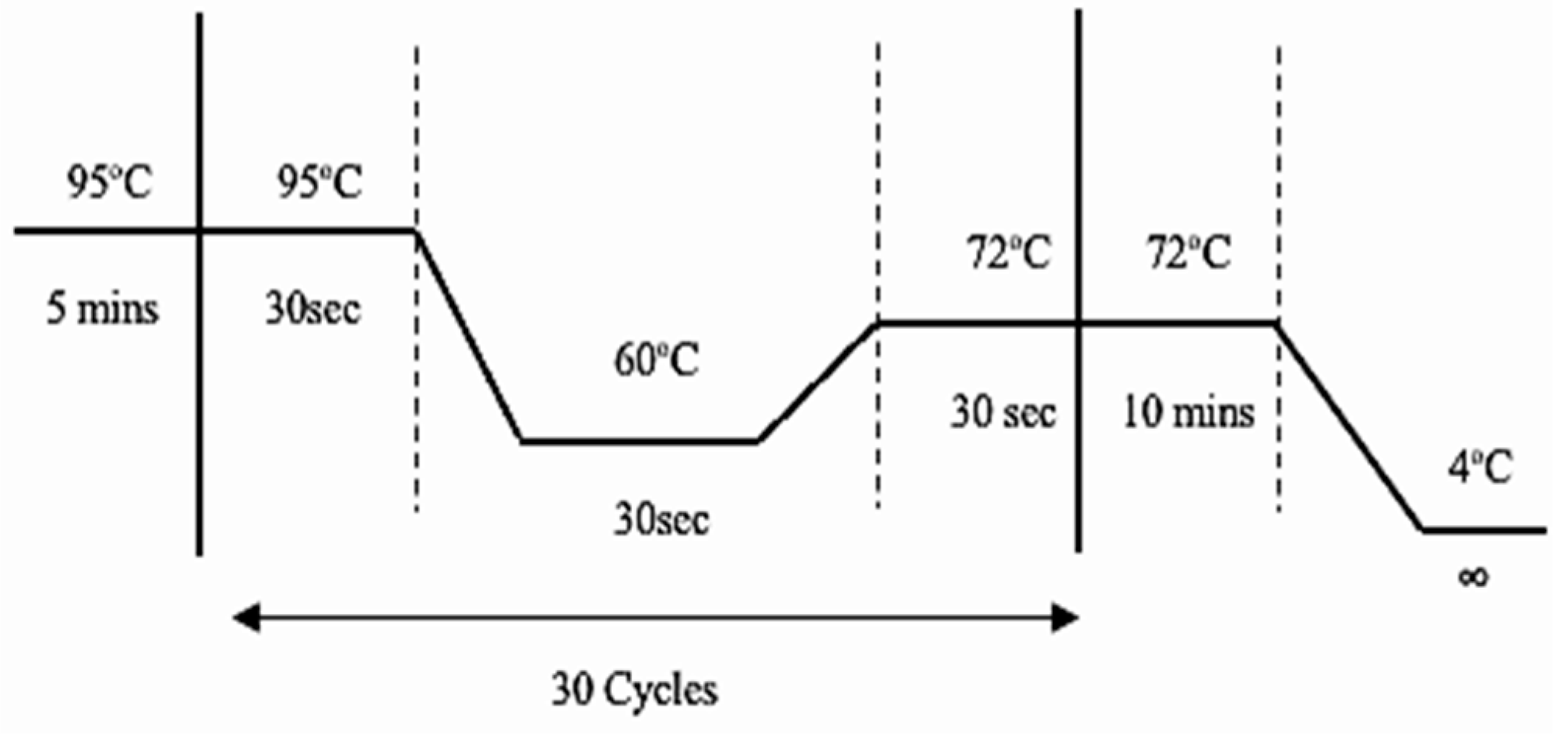 Preprints 82903 g001